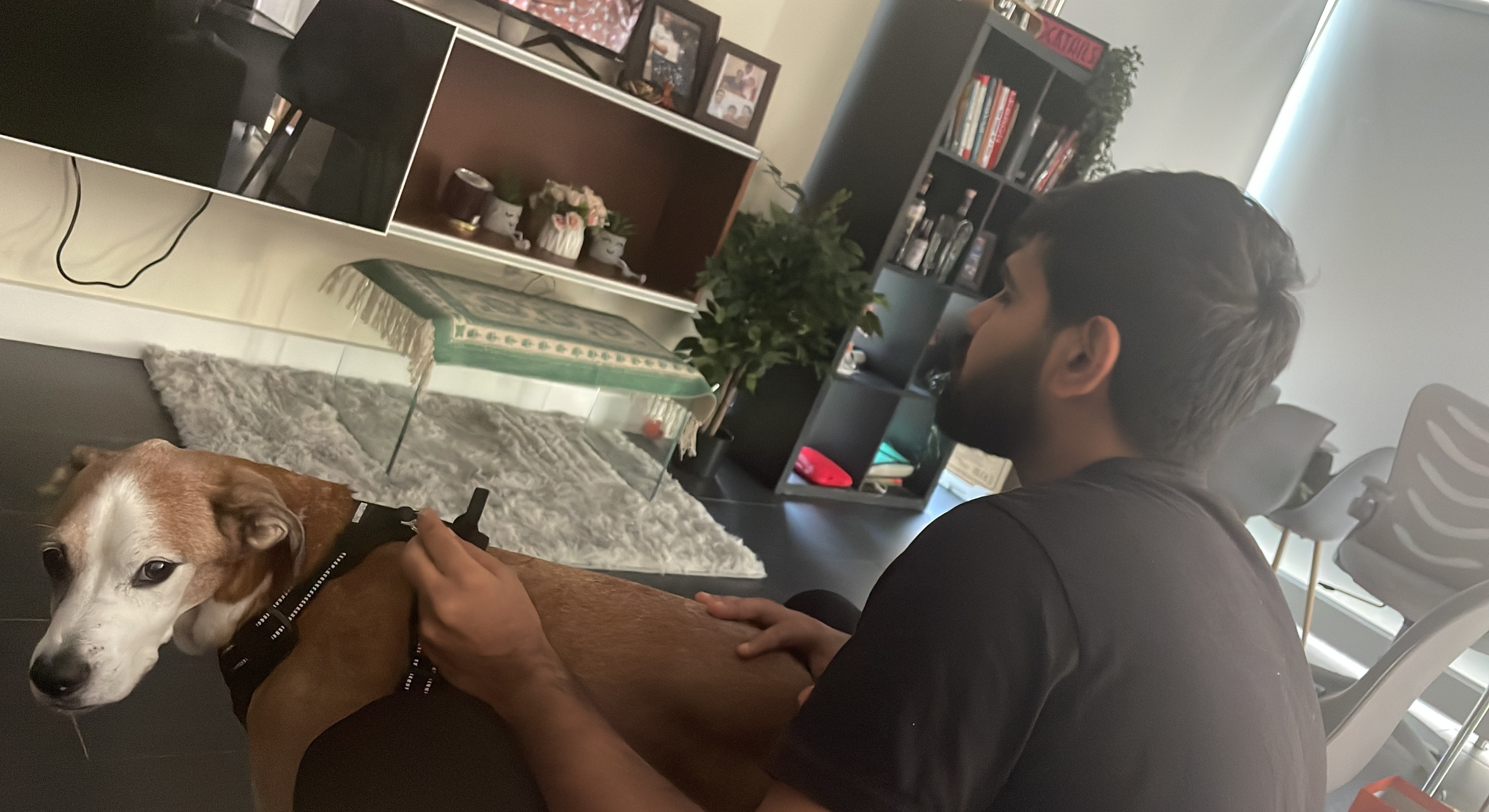 image-7