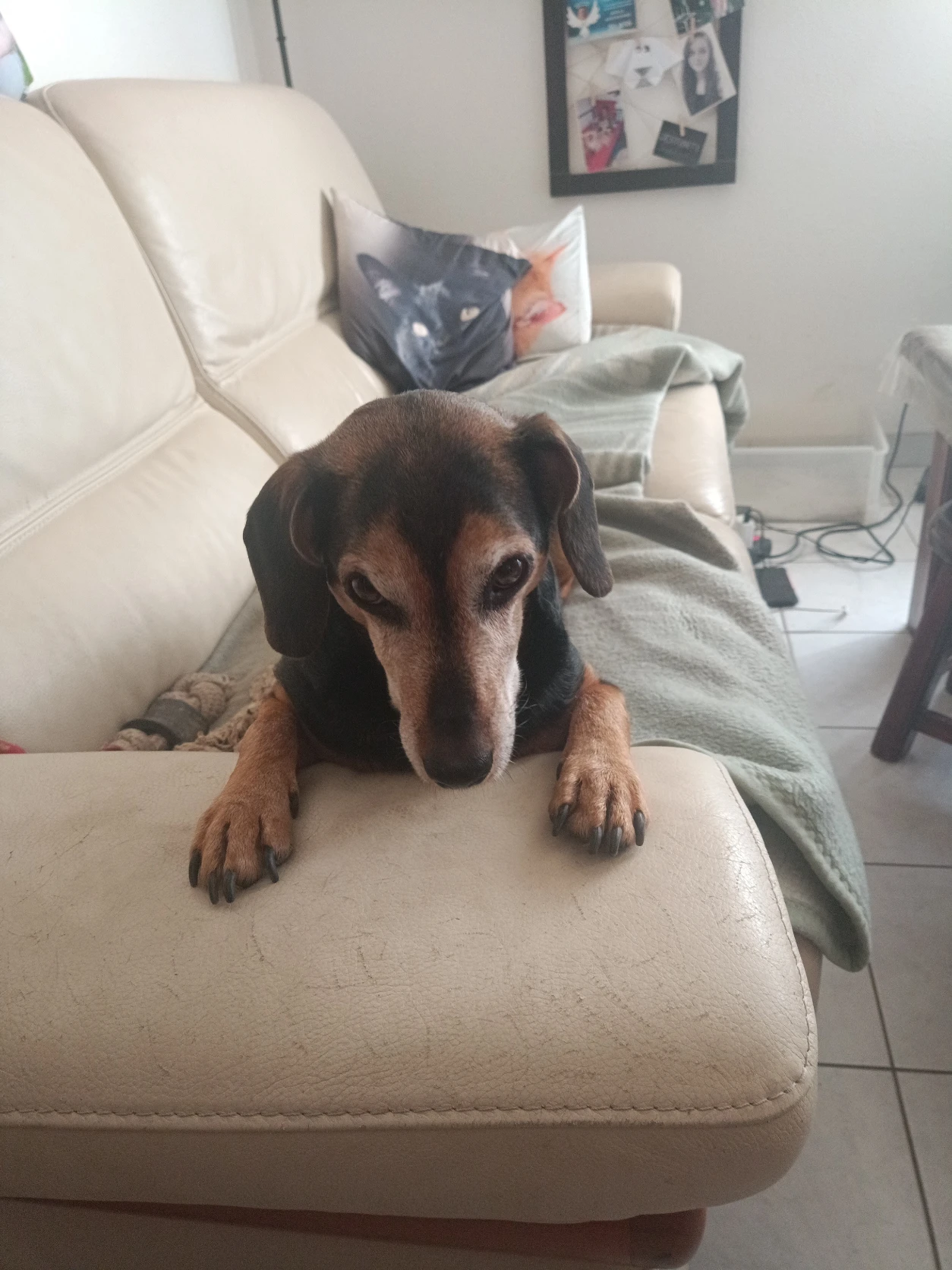 image-2