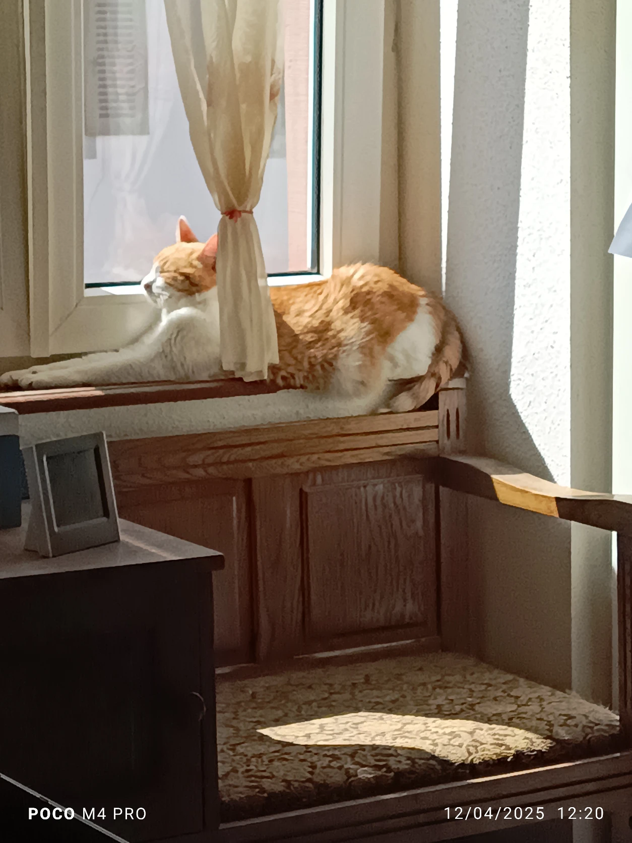 image-7