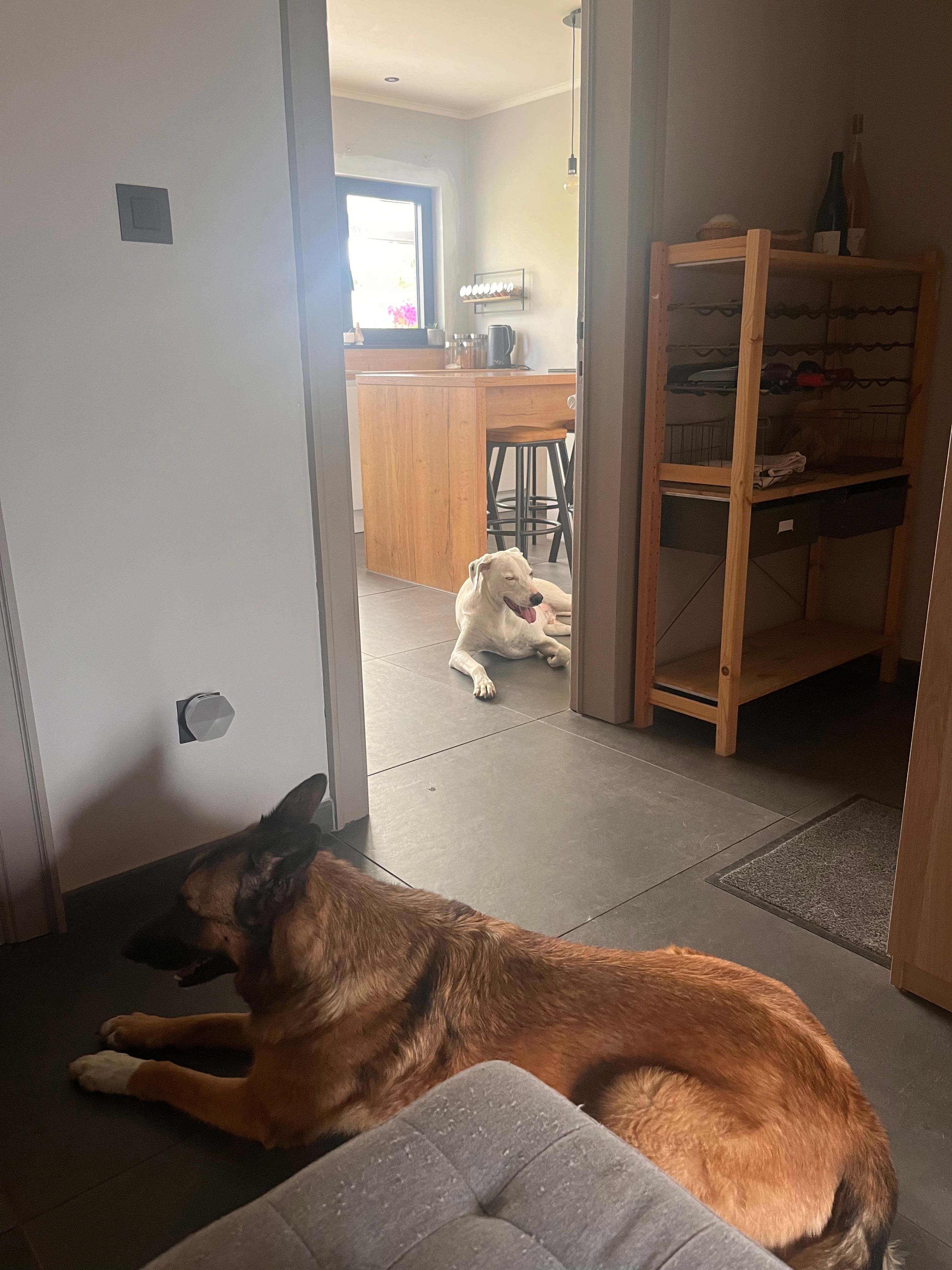 image-14