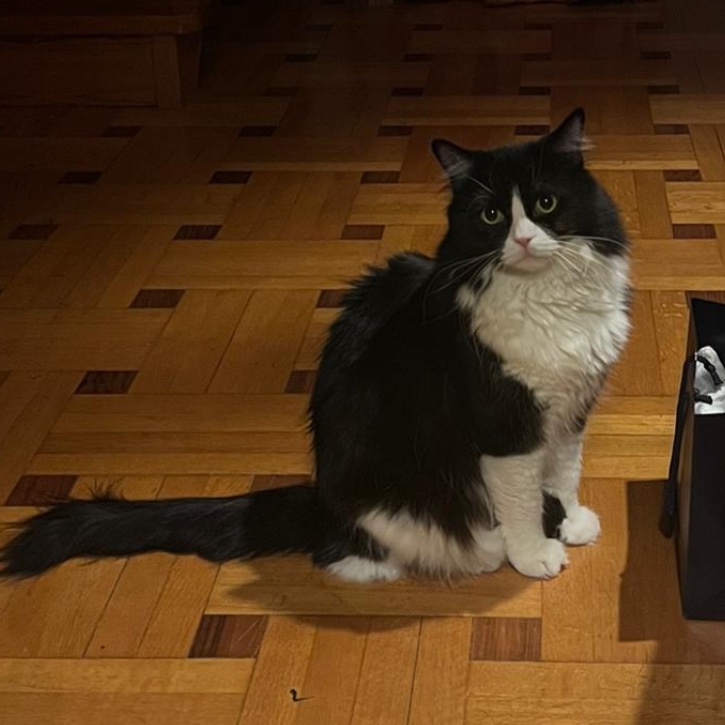 Oscar
