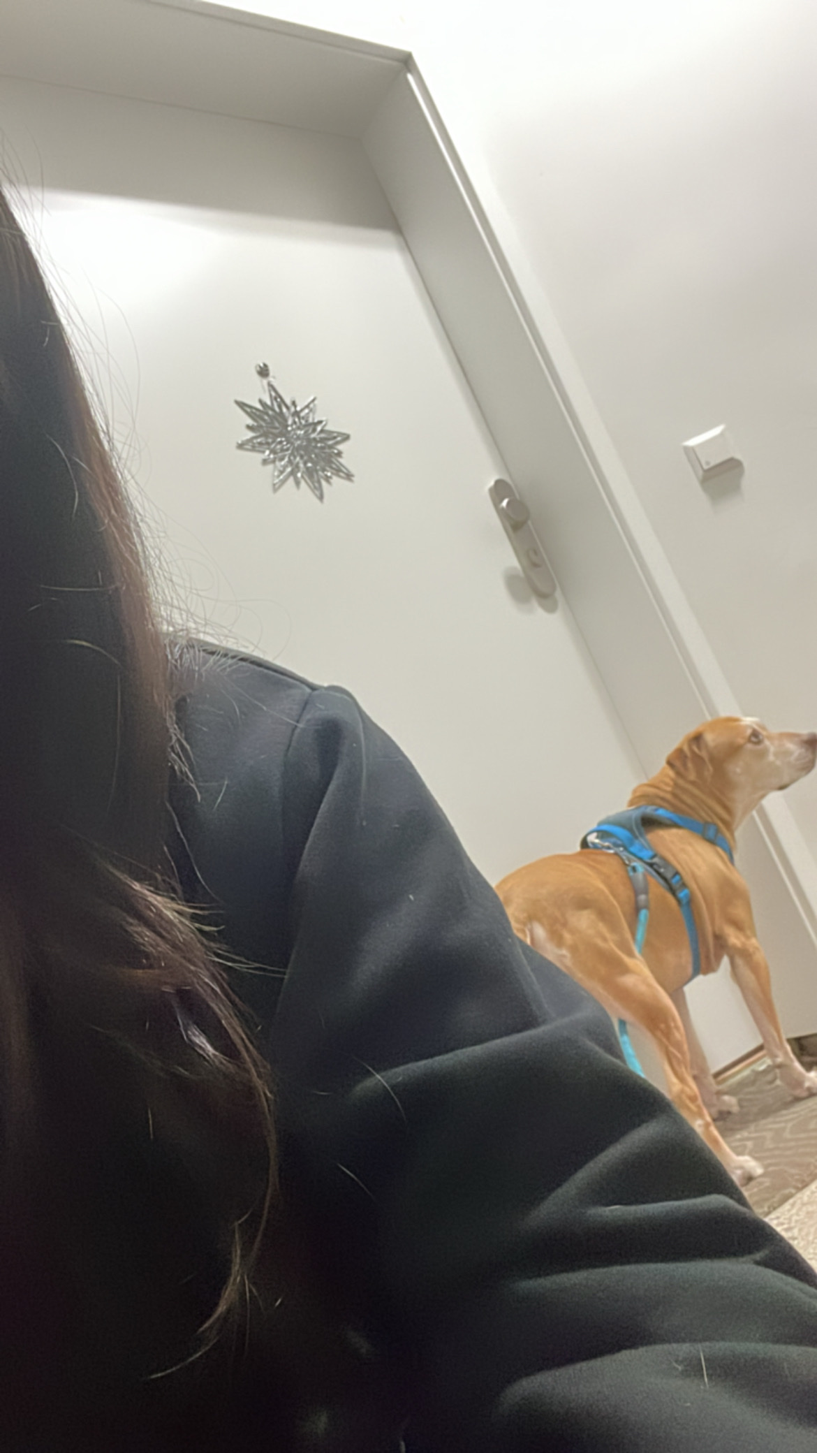 image-7