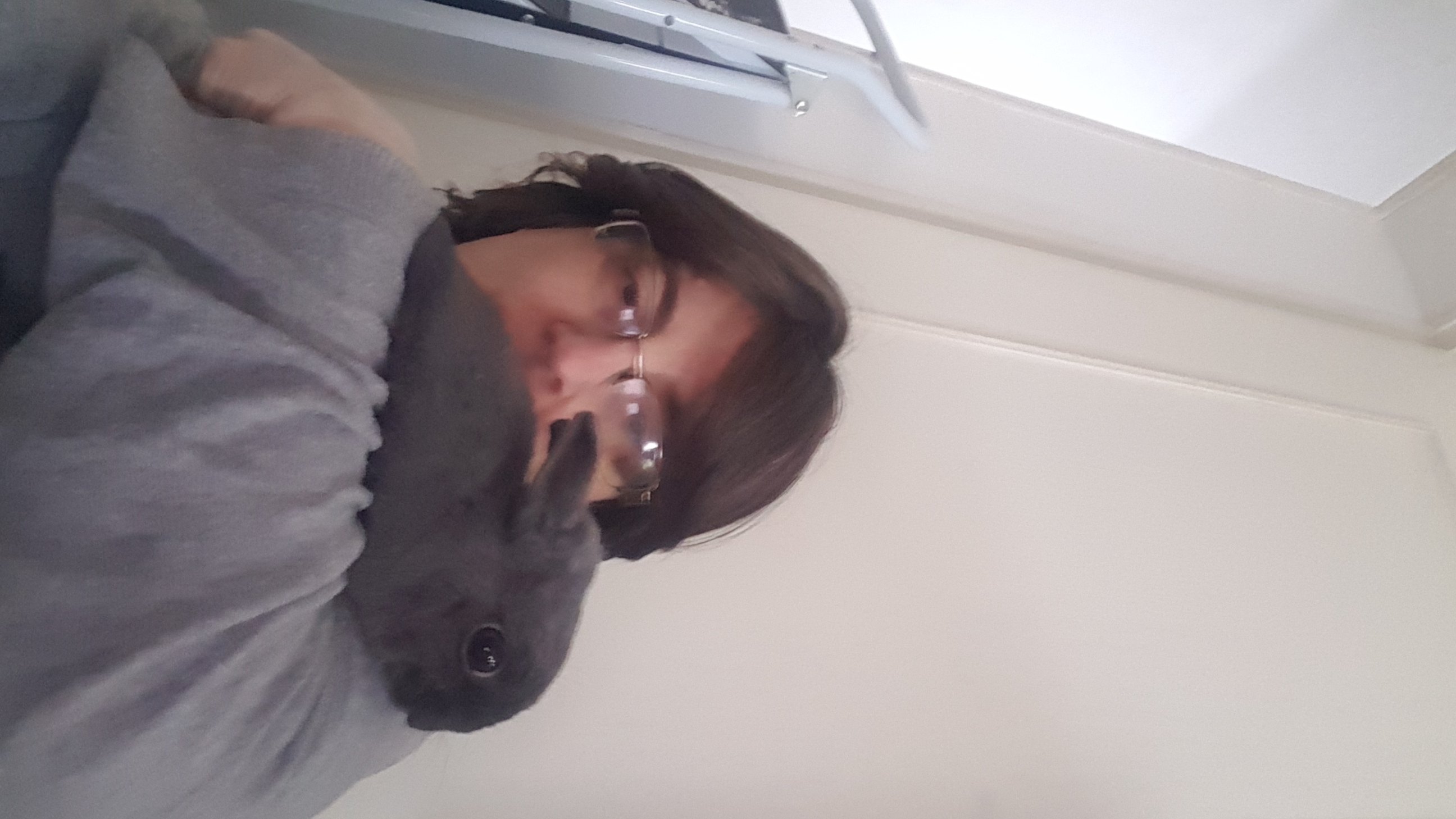 image-4