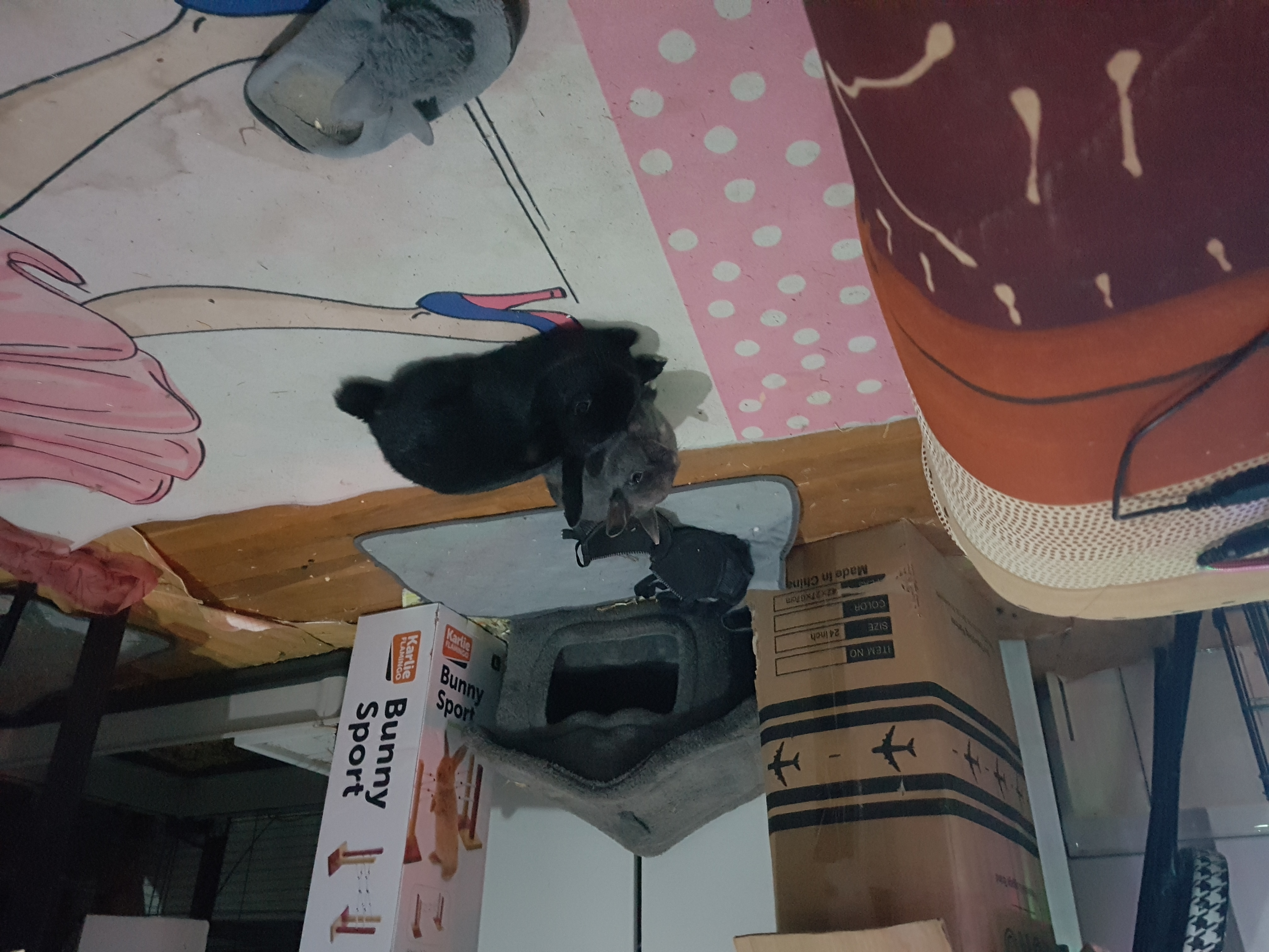 image-8