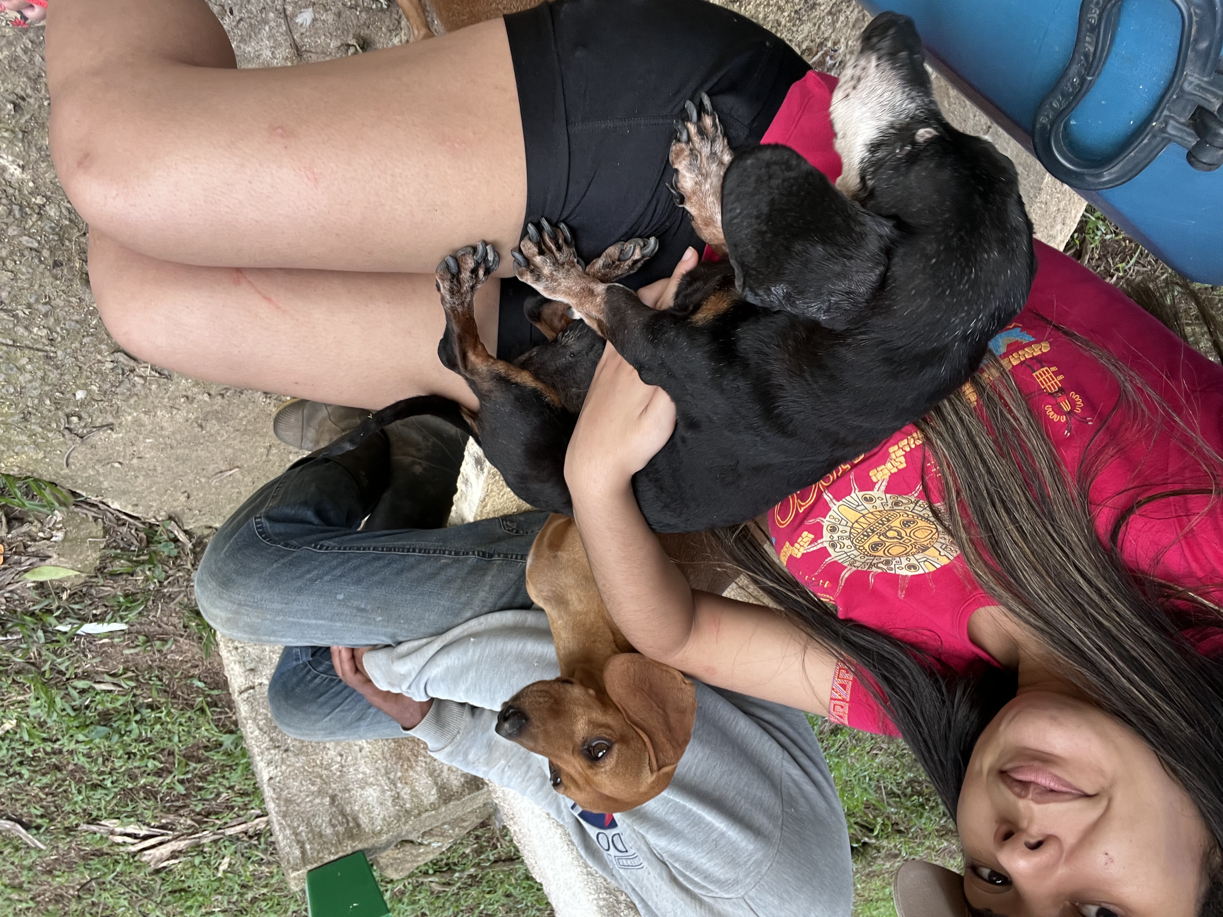 image-1