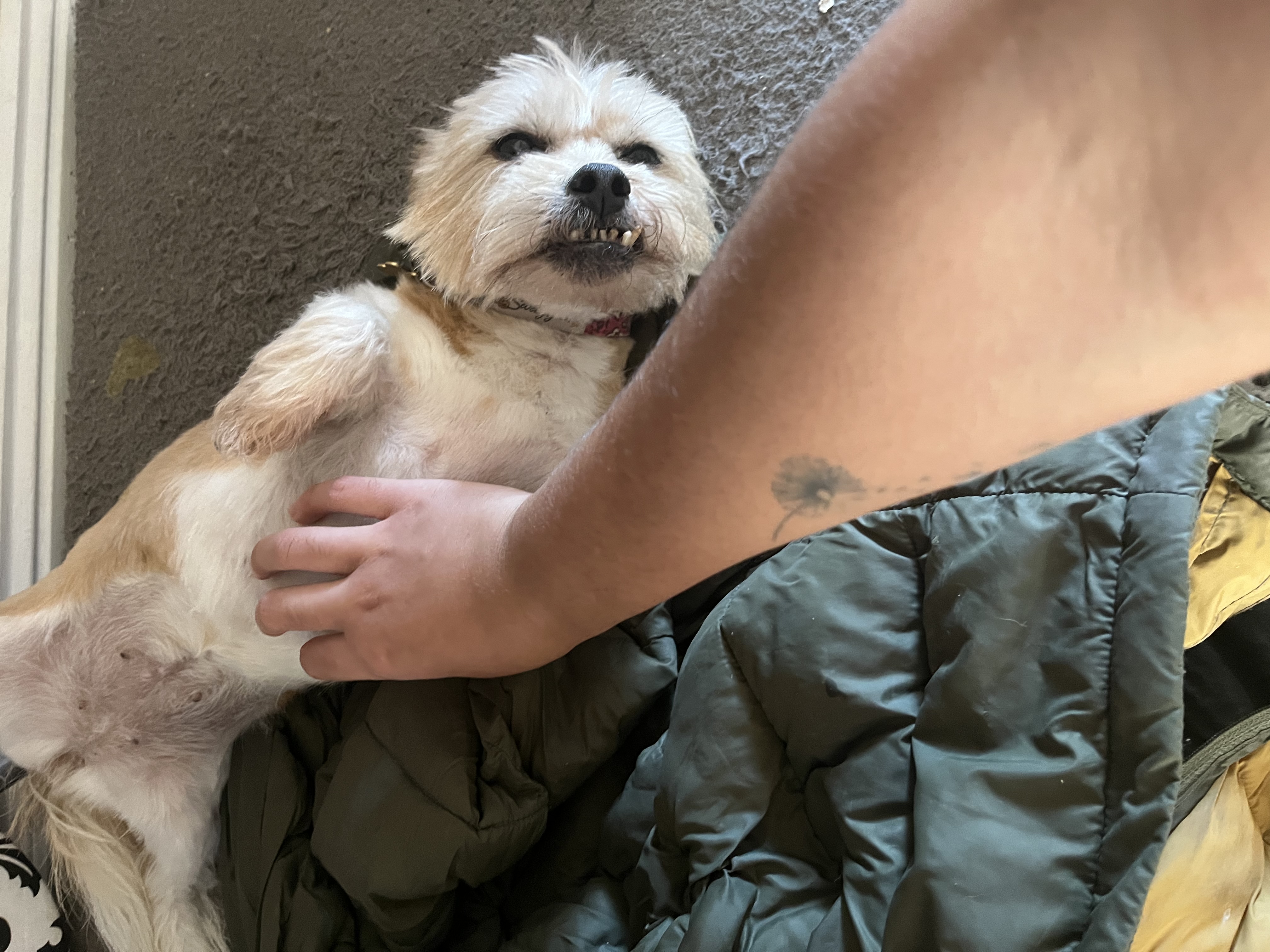 image-8