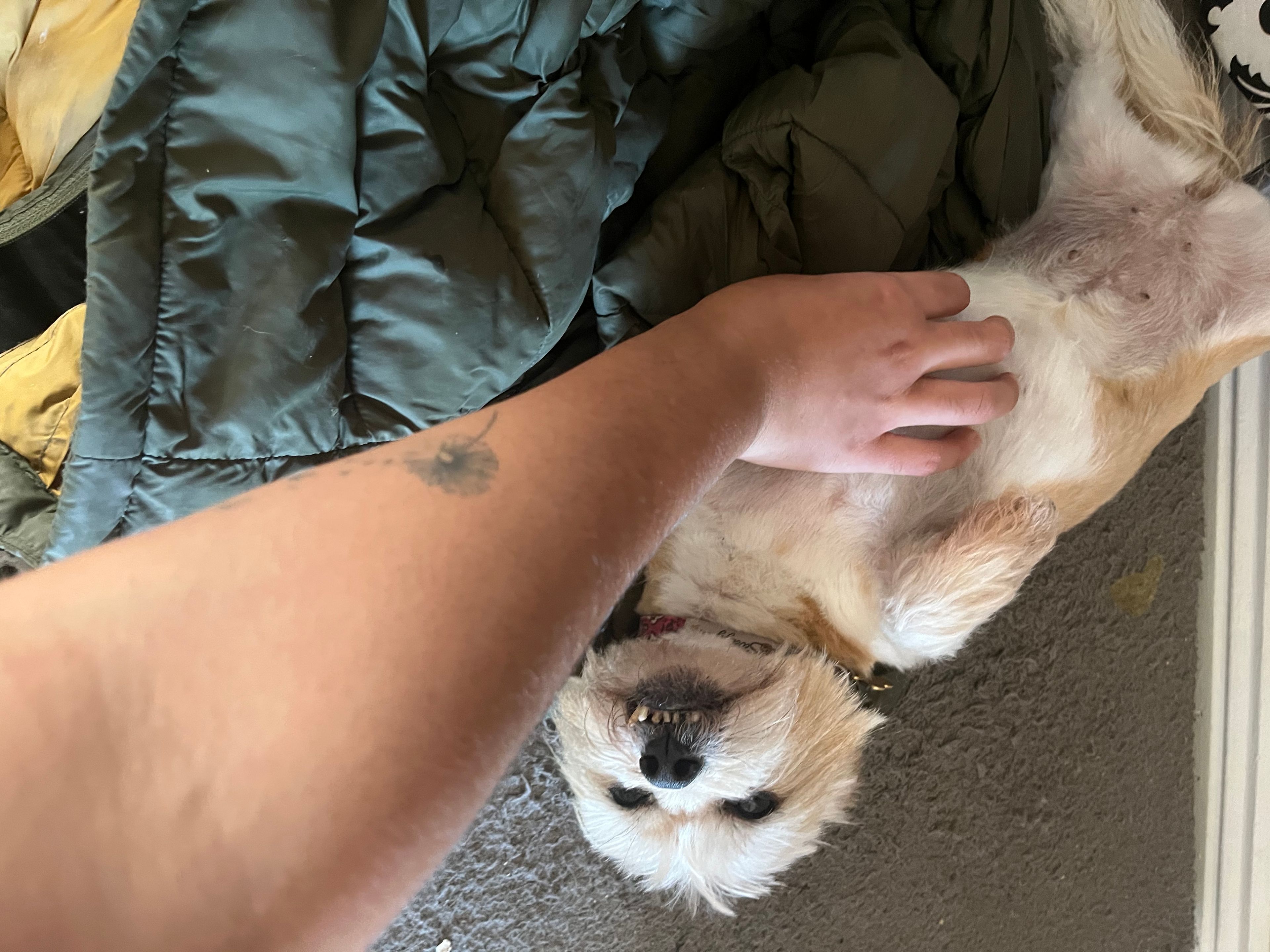 image-8