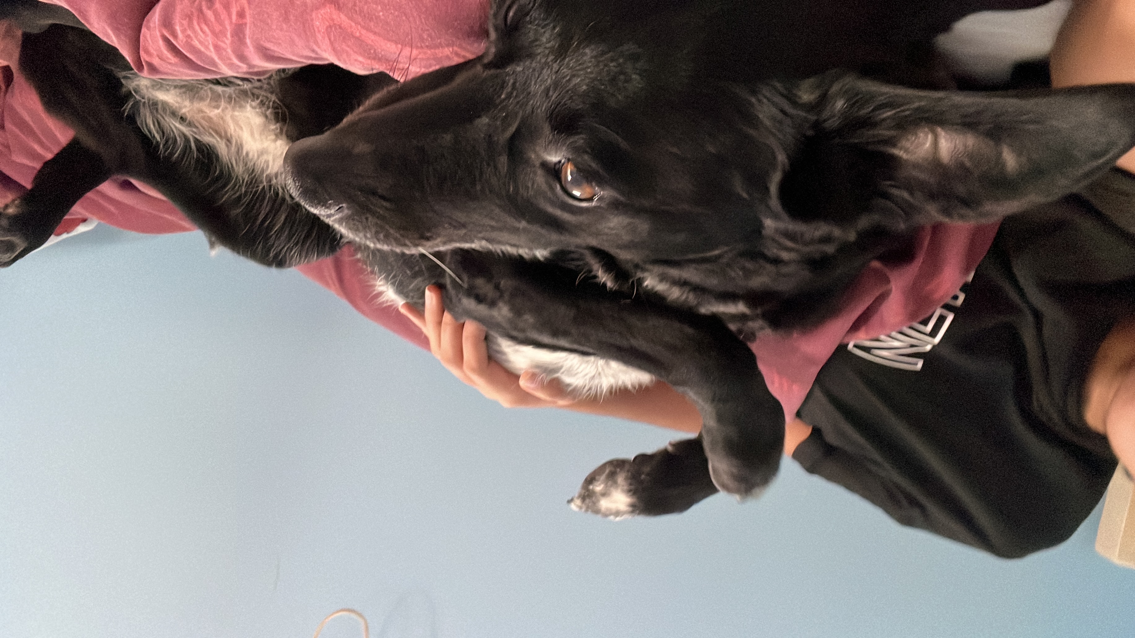 image-9