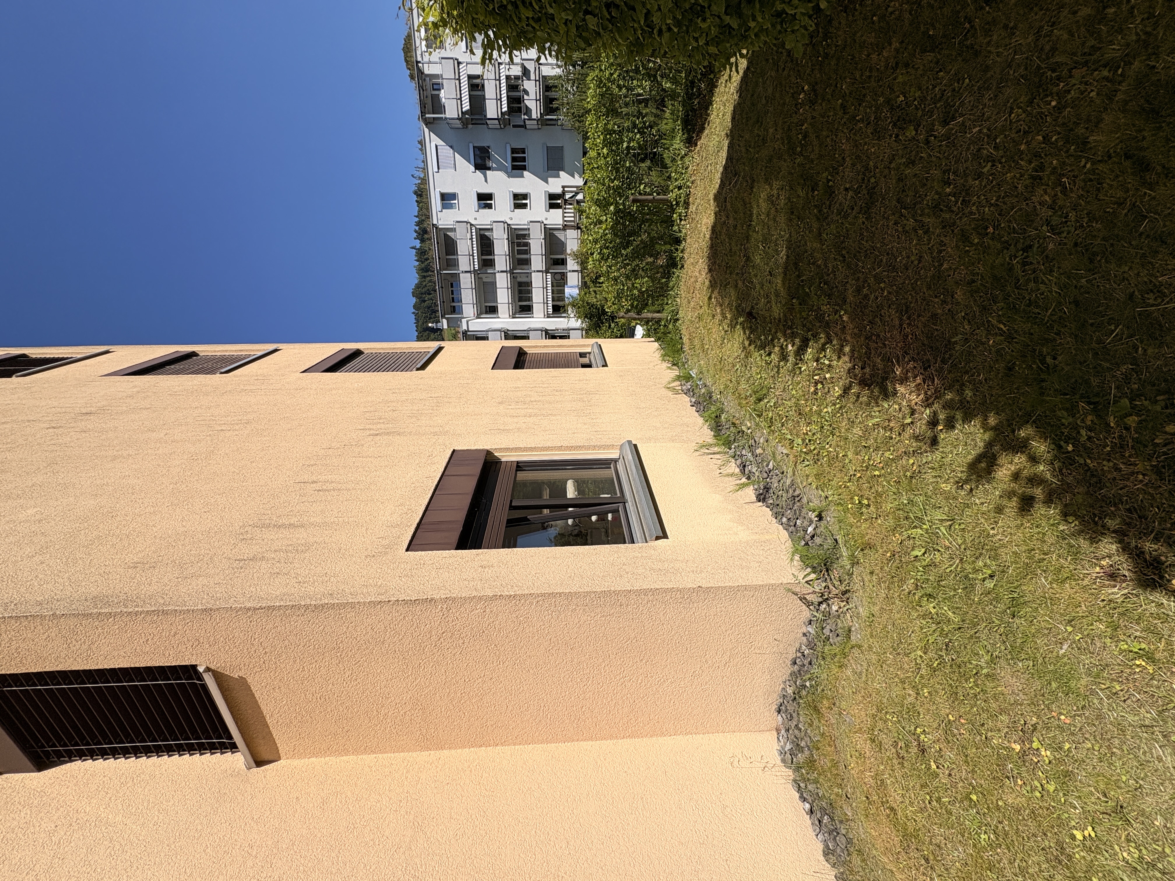 image-19