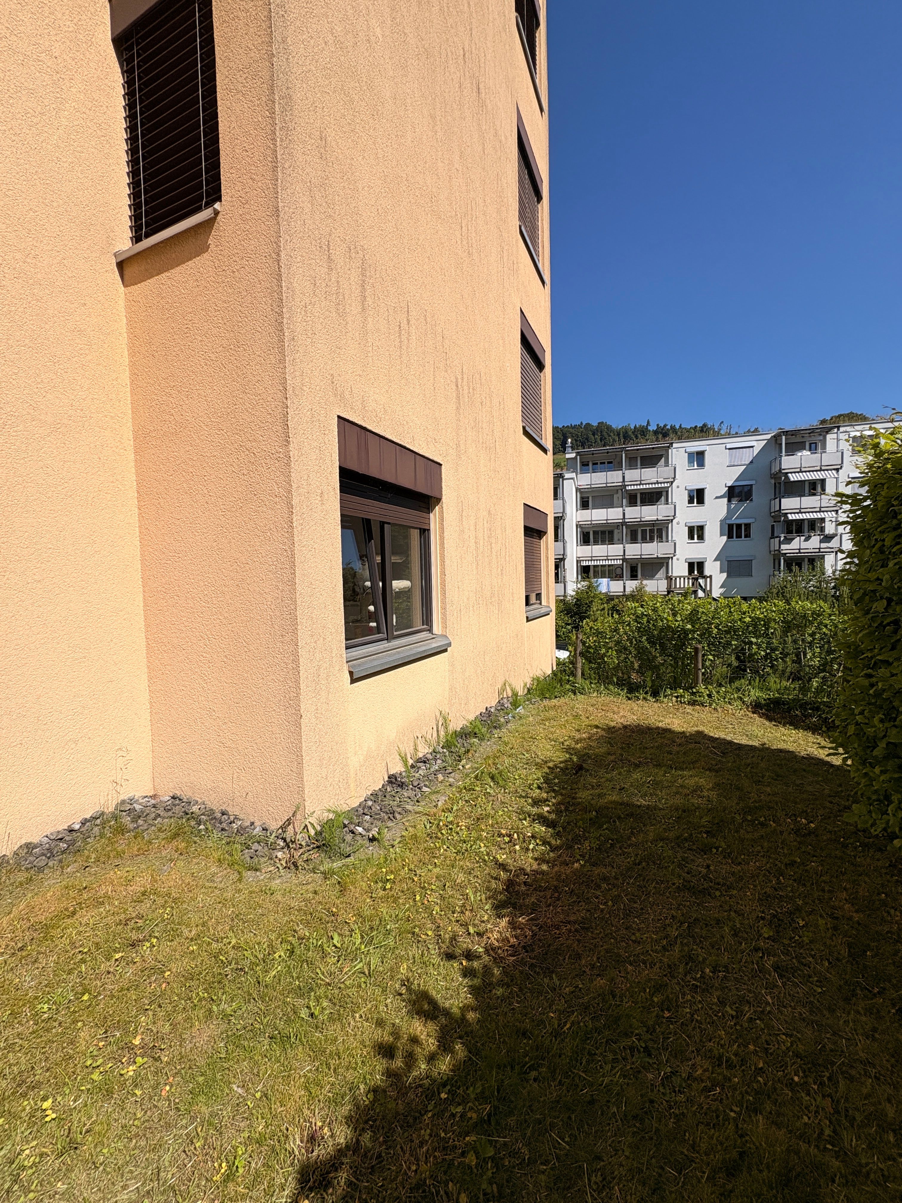 image-19
