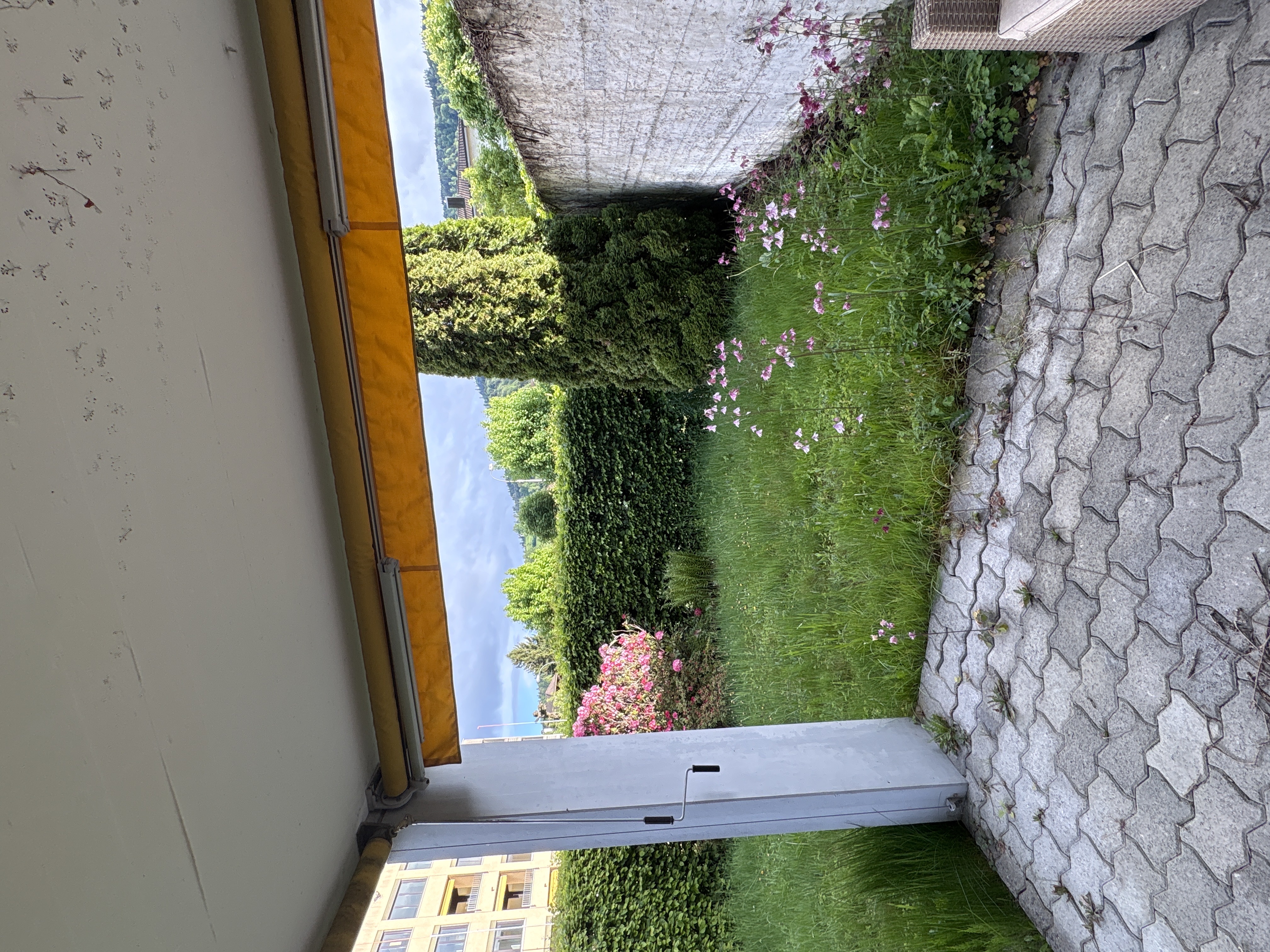 image-24
