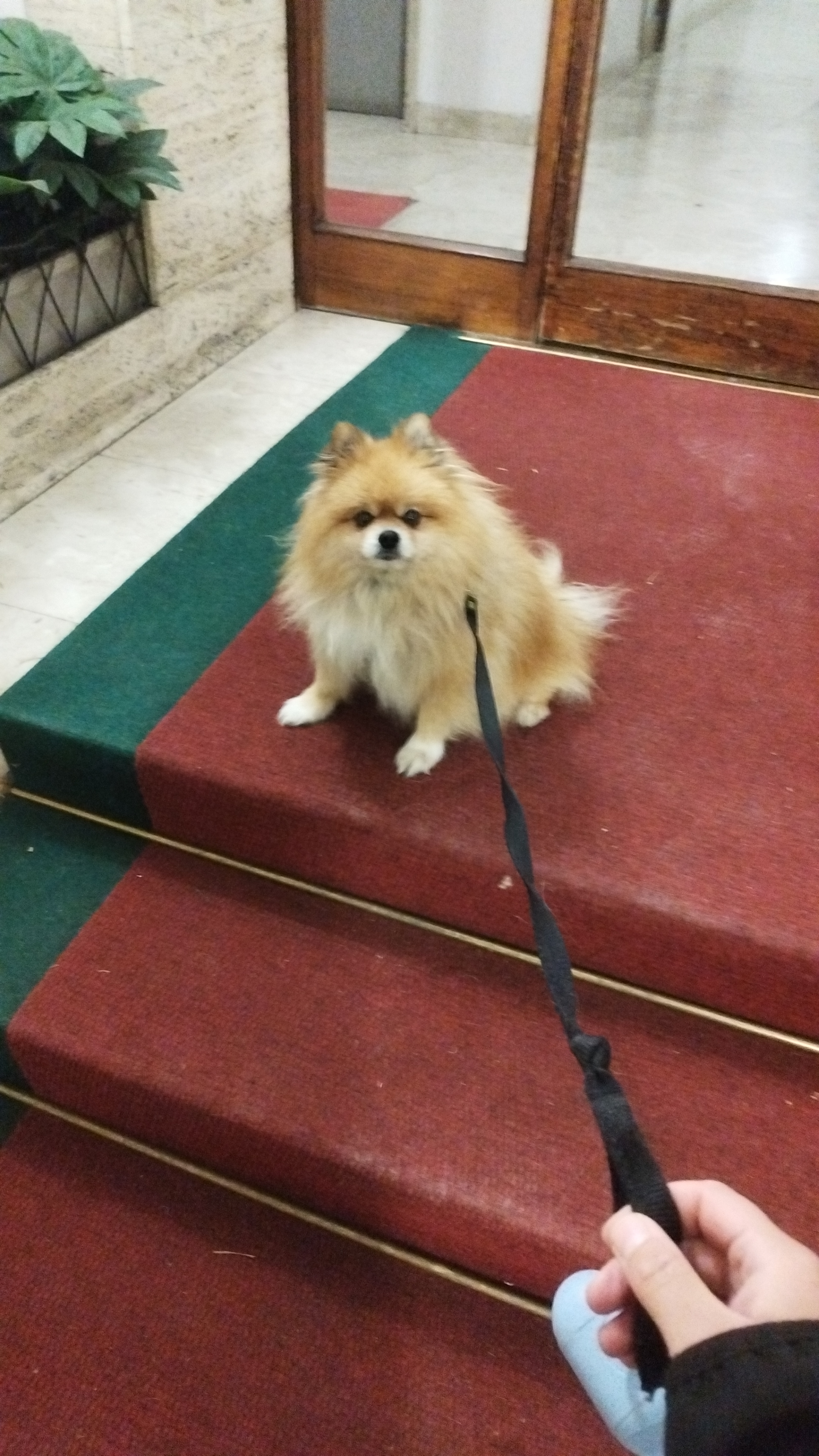 image-42