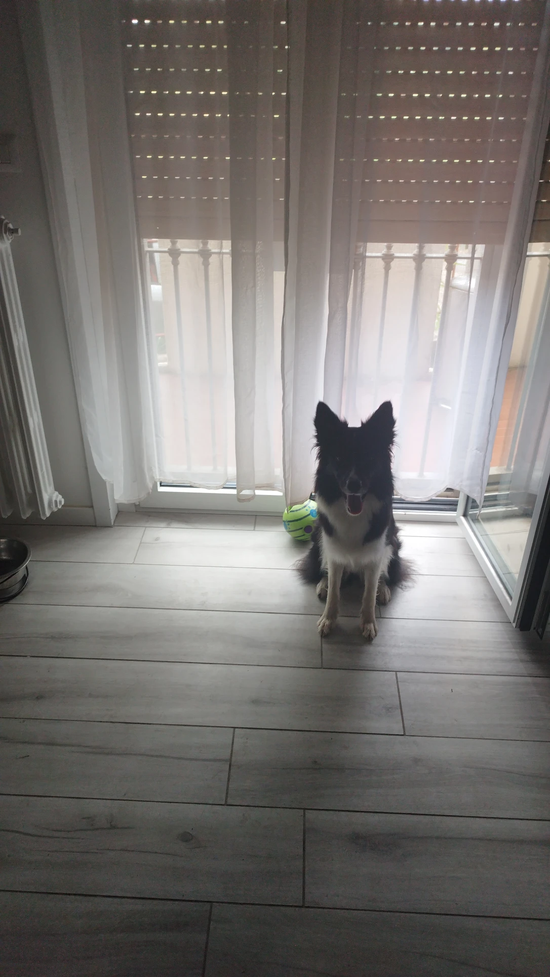 image-46