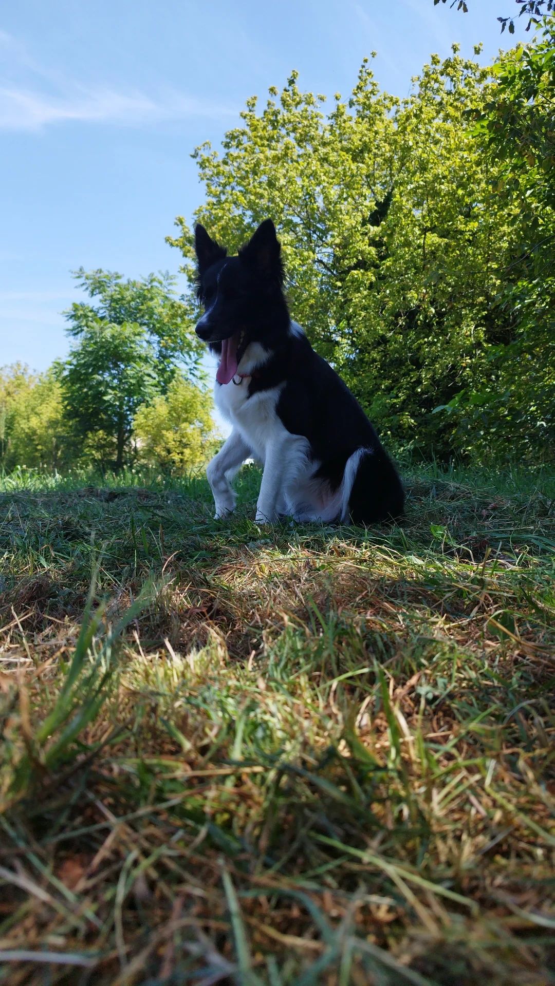 image-2