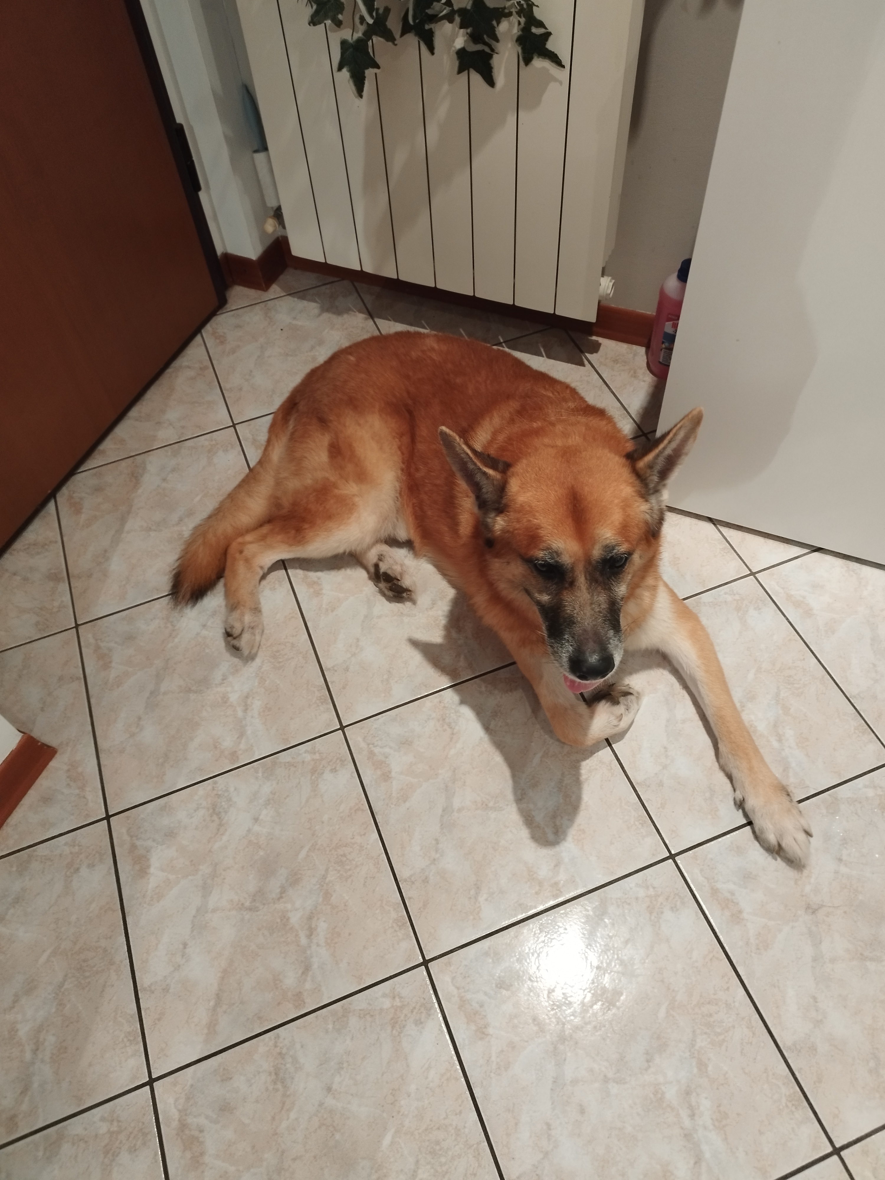 image-14