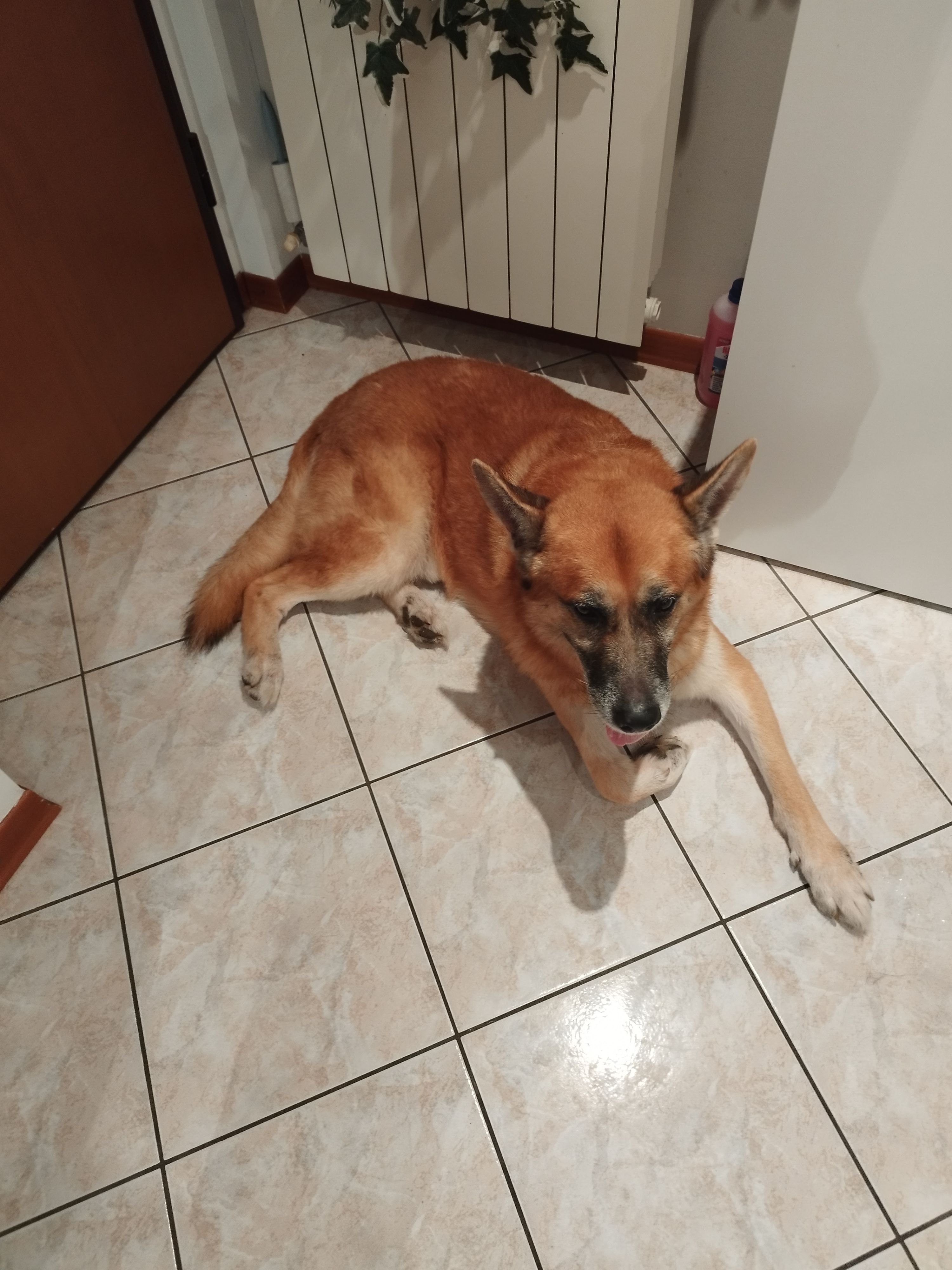image-14