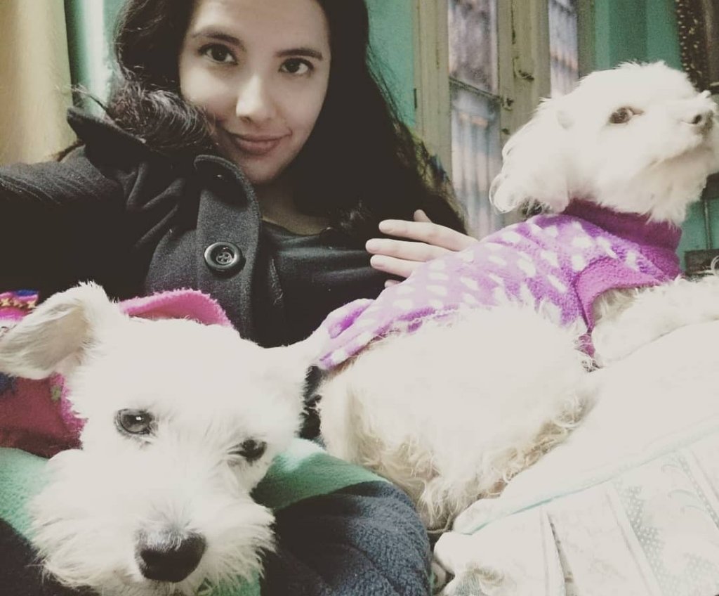 image-8