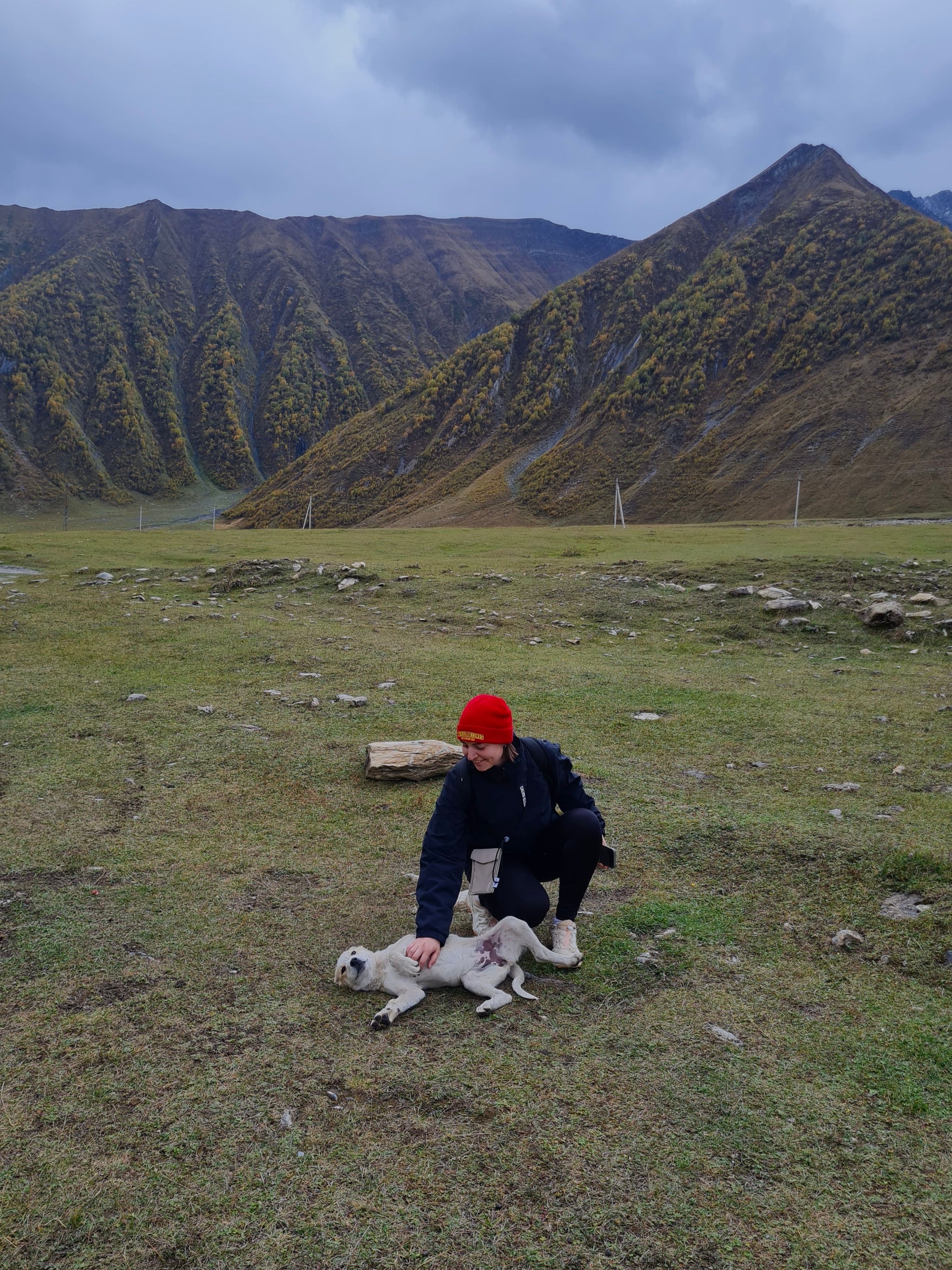 image-7