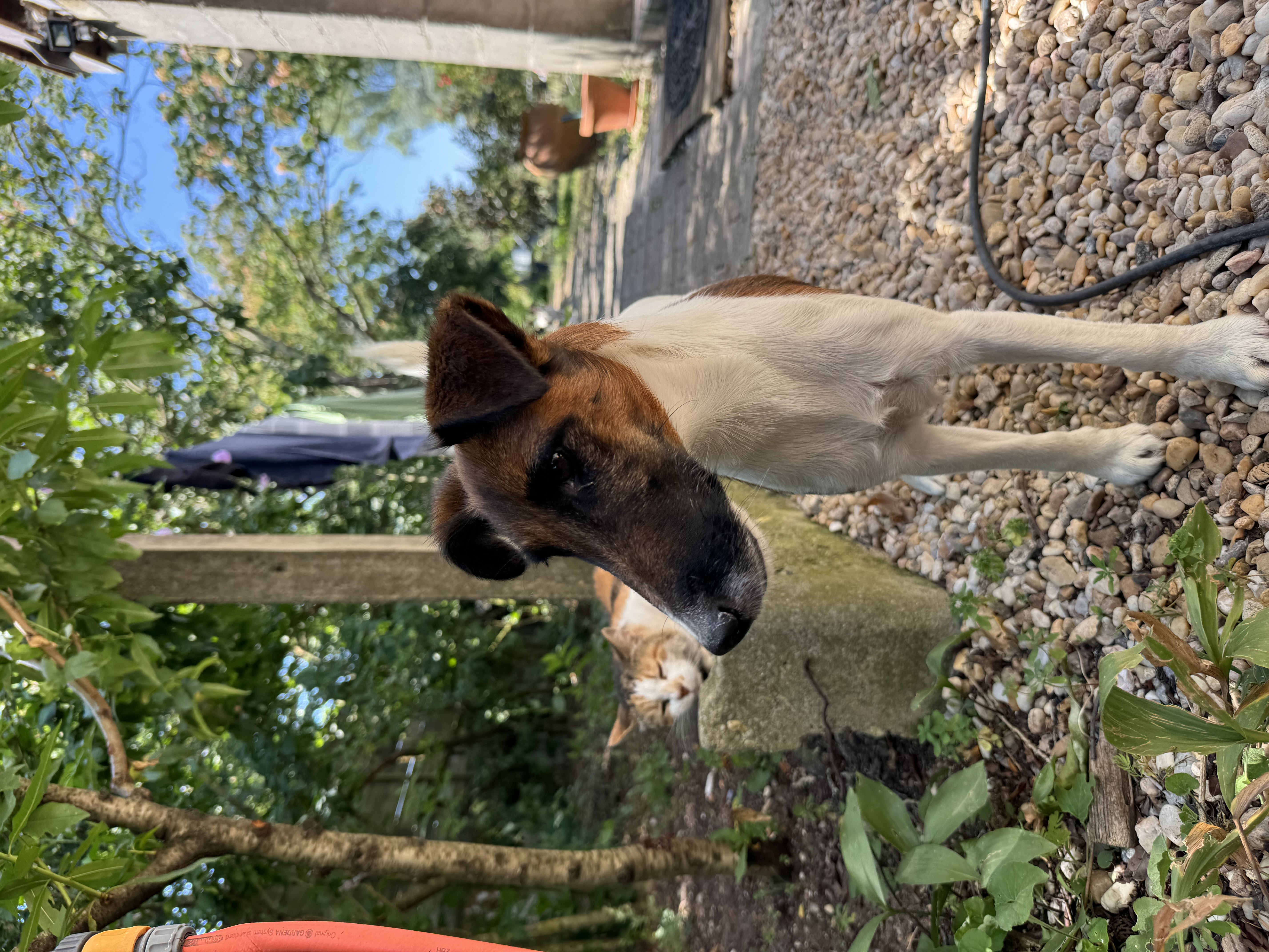 image-10