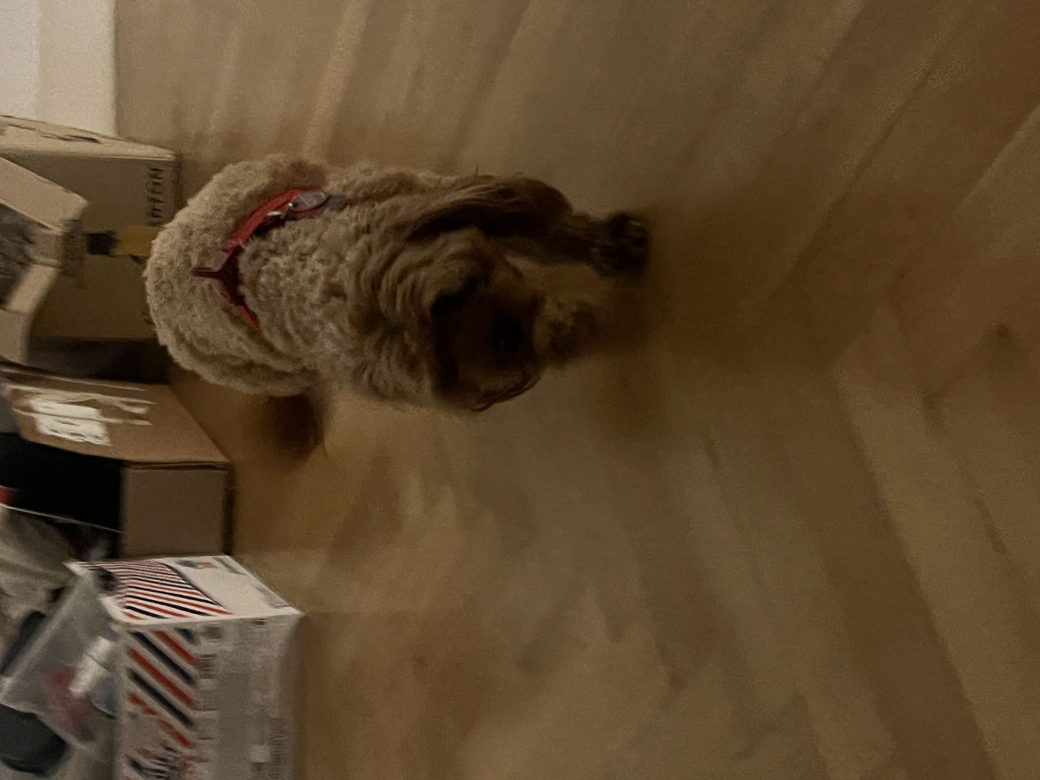 image-9