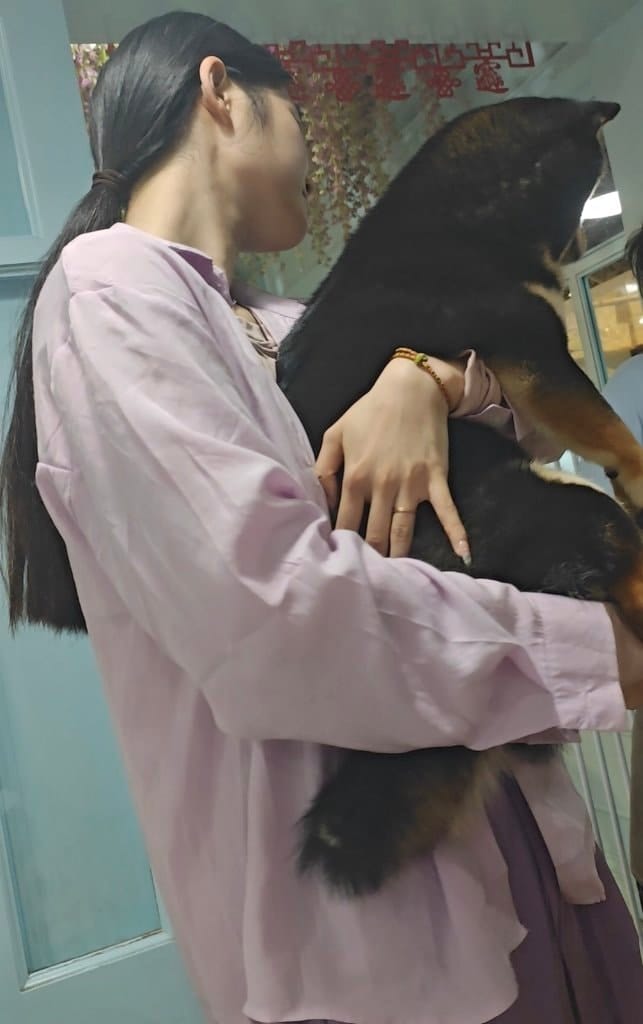 image-5