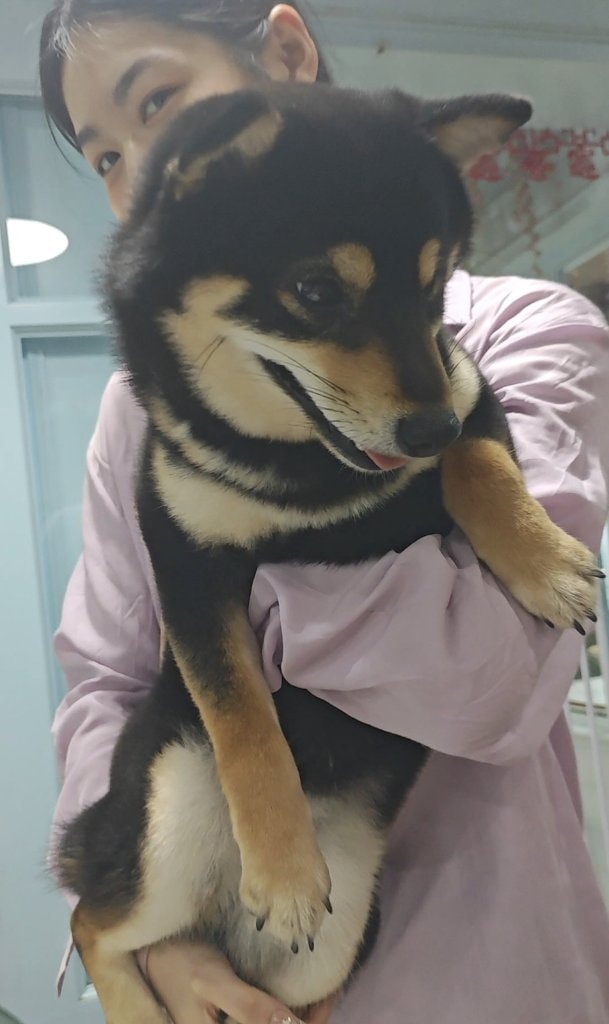 image-6