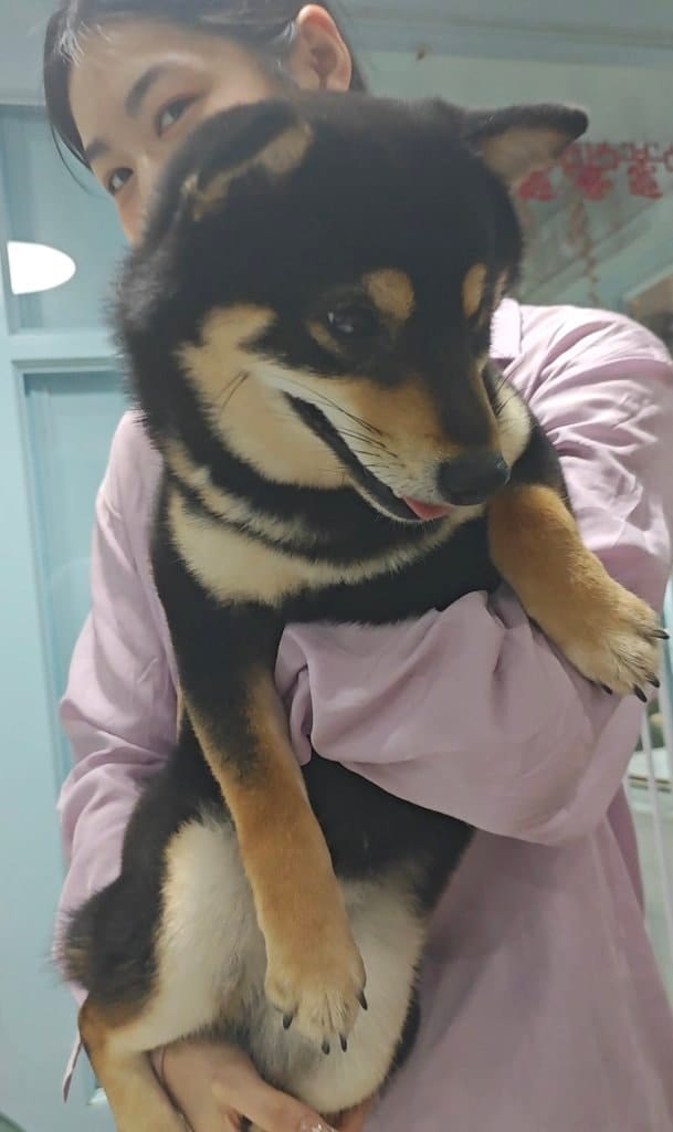 image-6