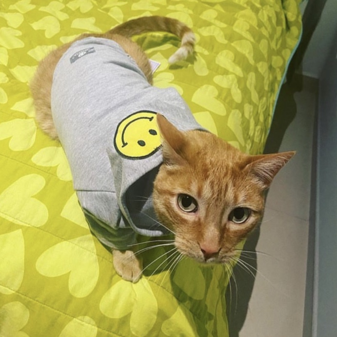 Simba