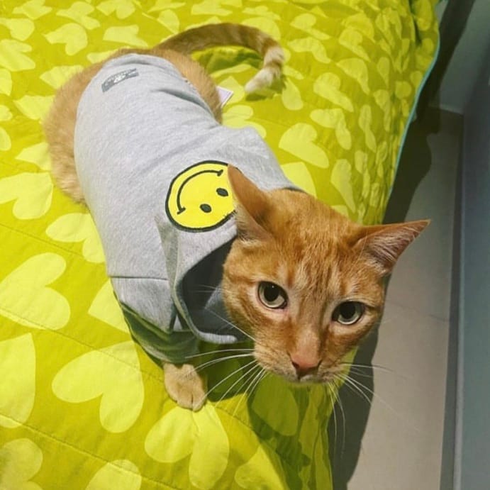 Simba