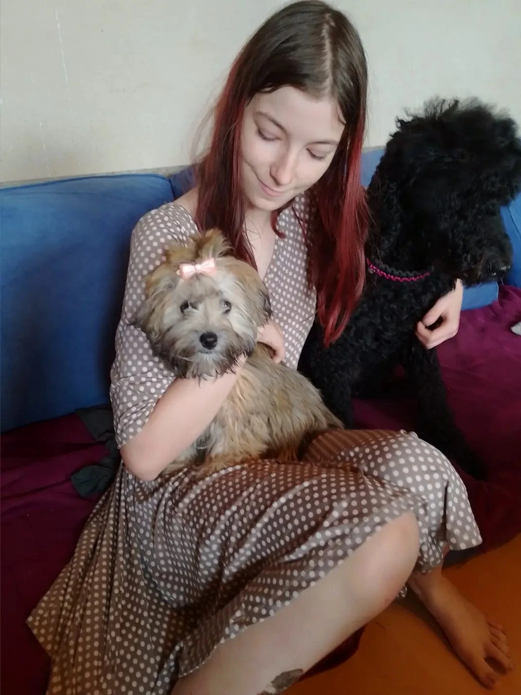 image-5