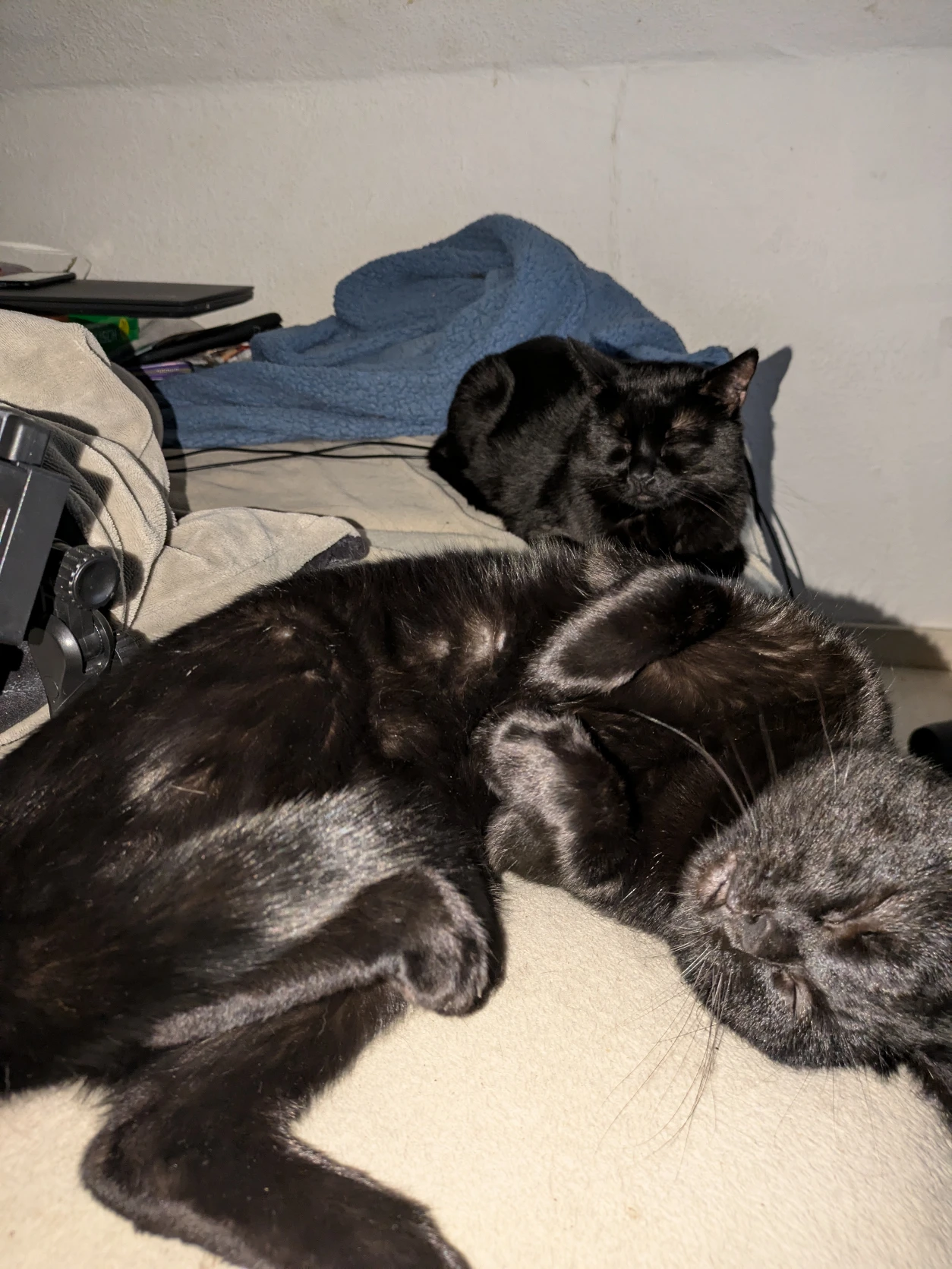 image-9