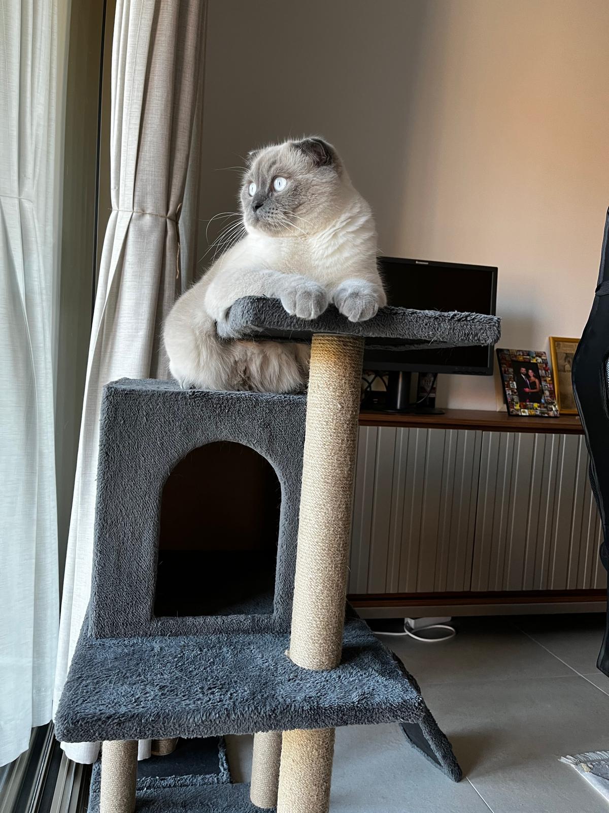 image-6