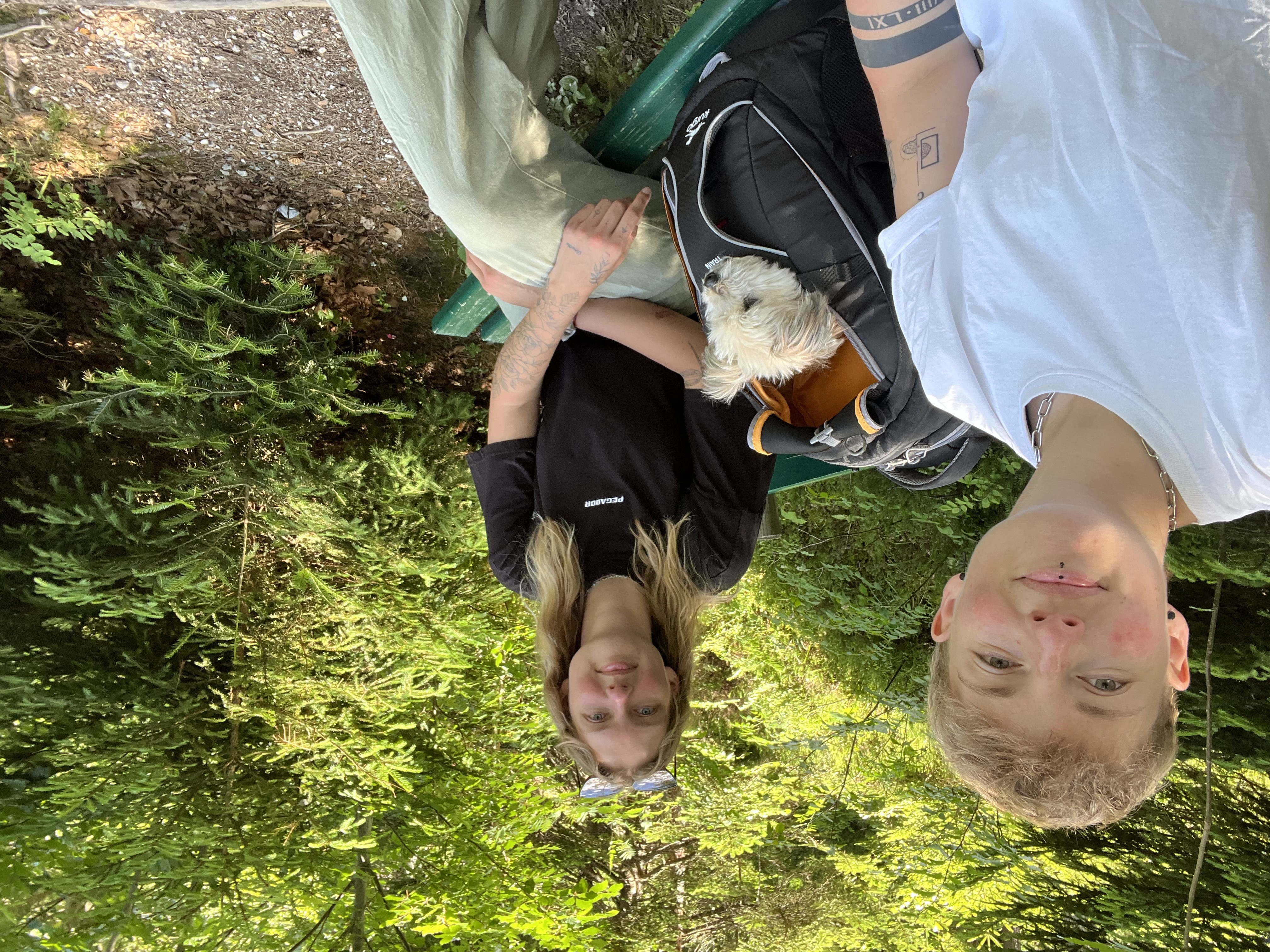 image-2