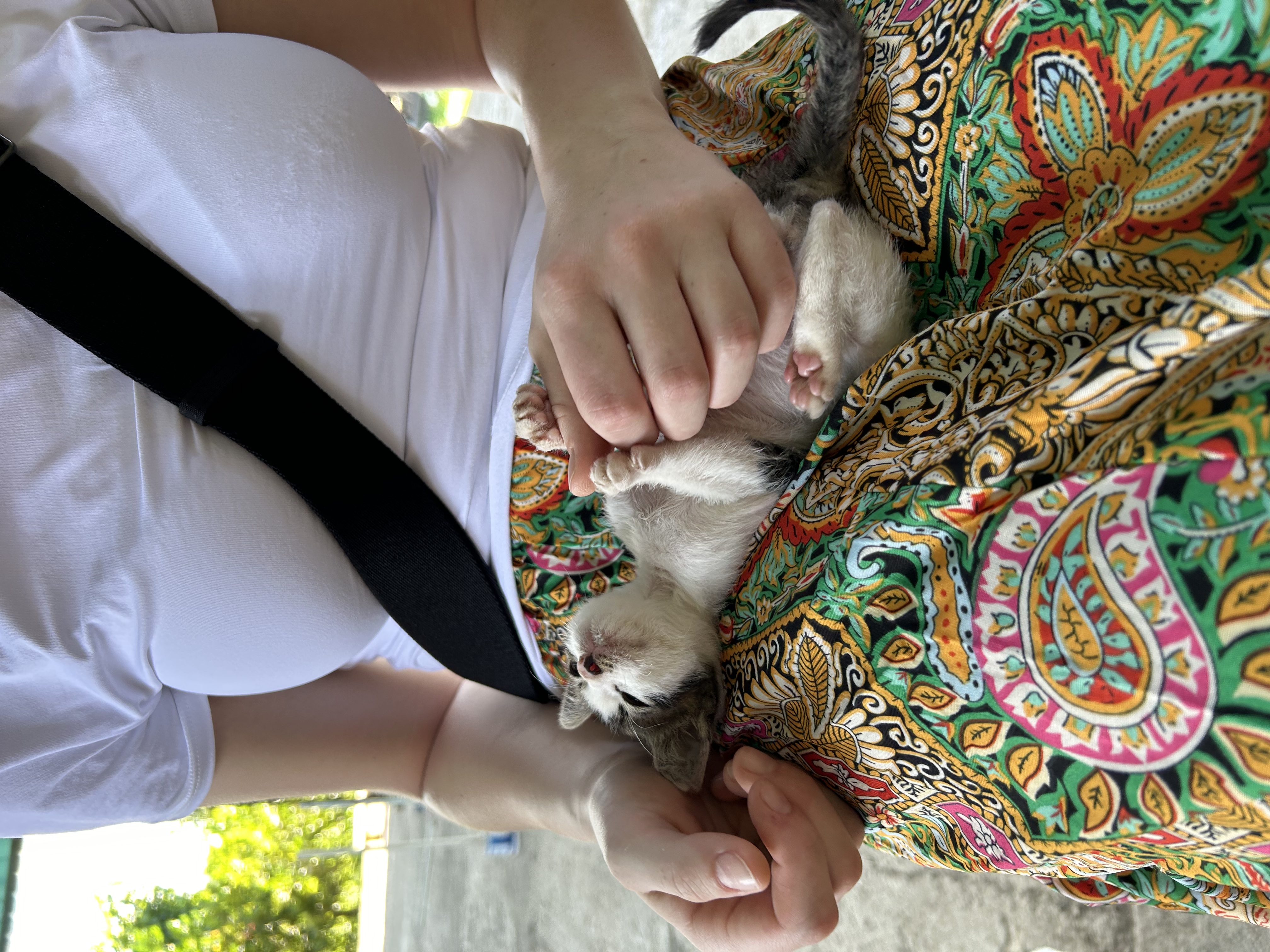 image-11