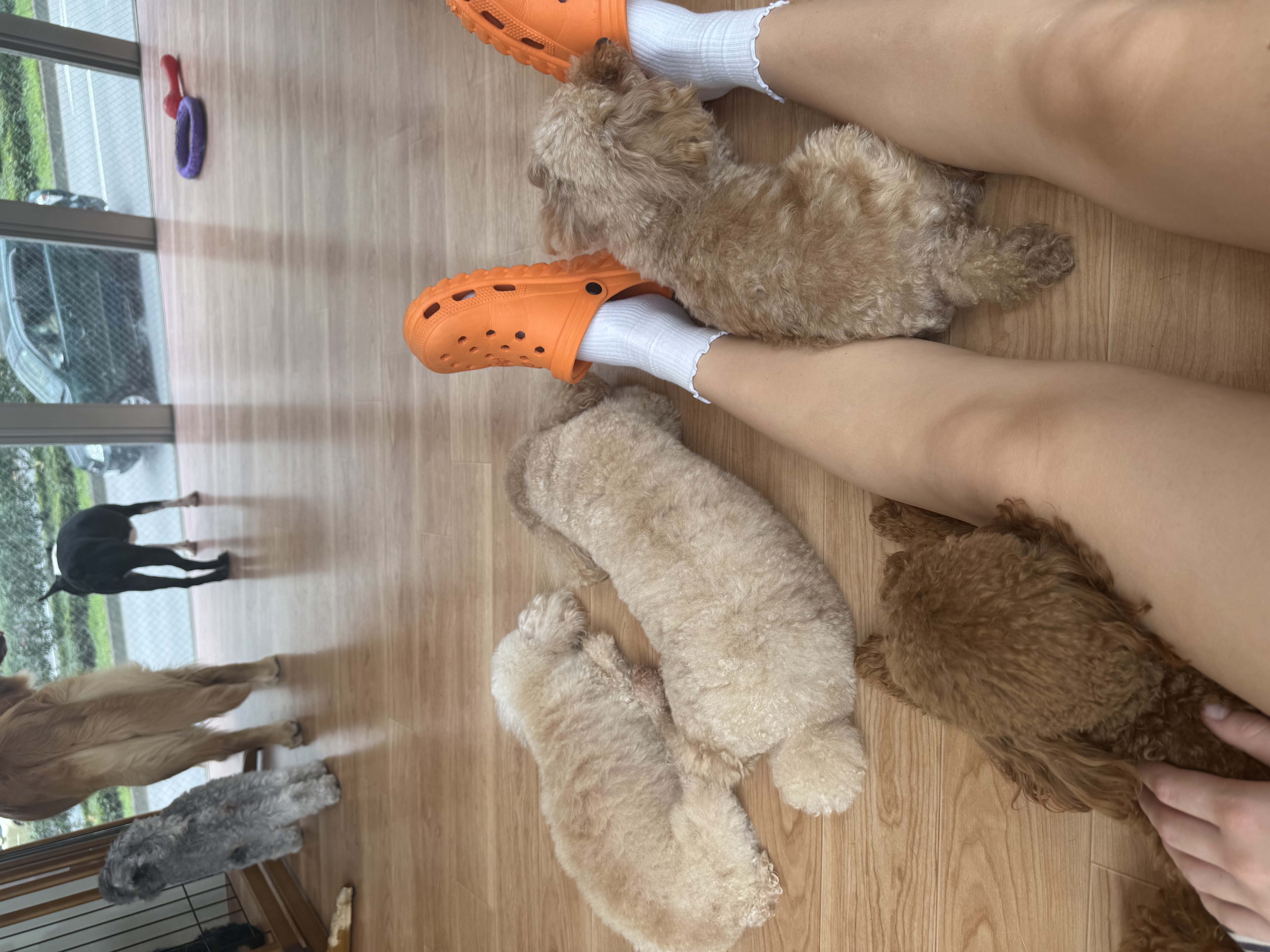 image-10