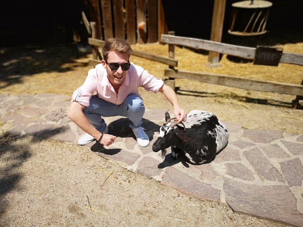 image-14
