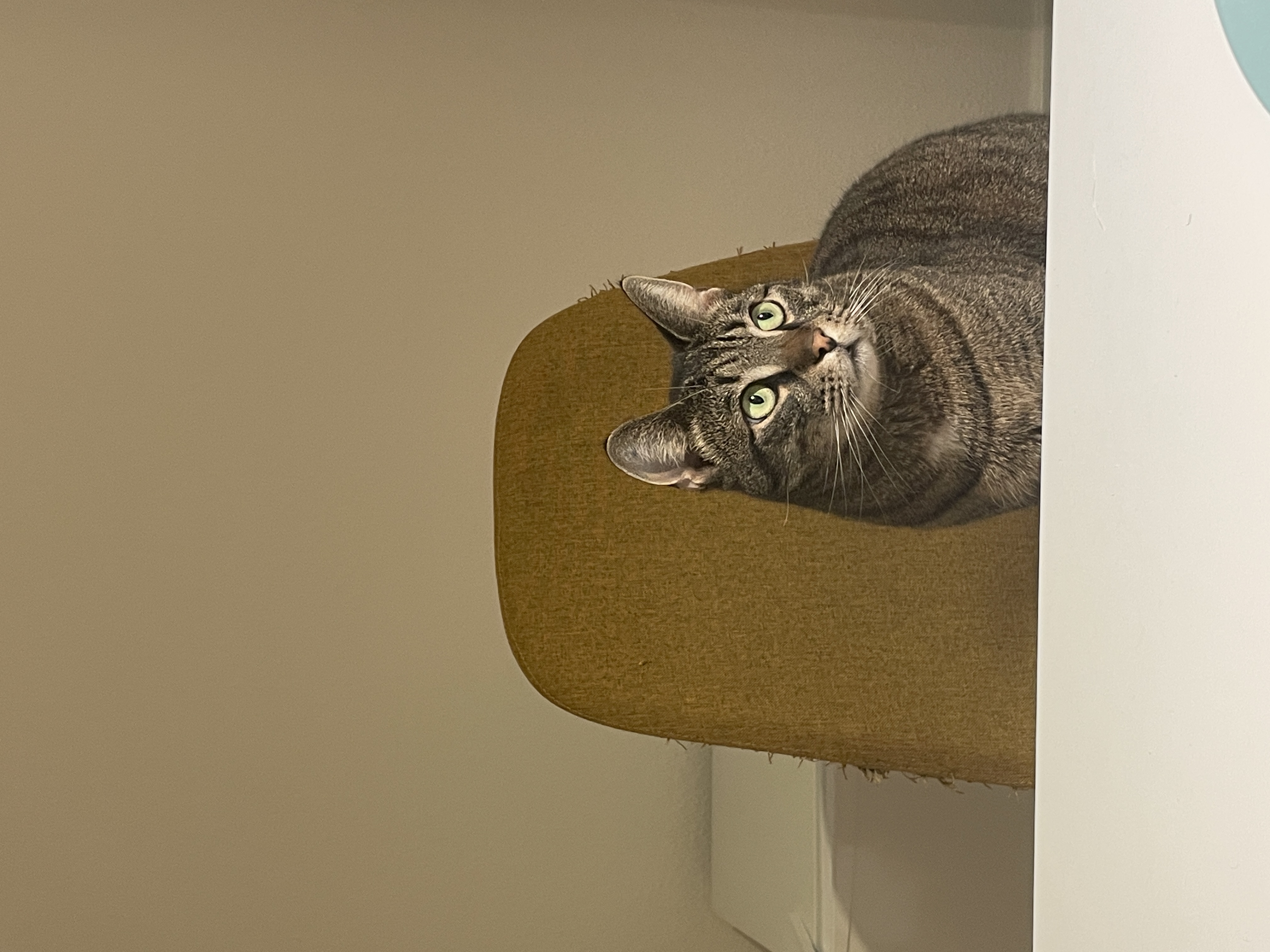 image-6