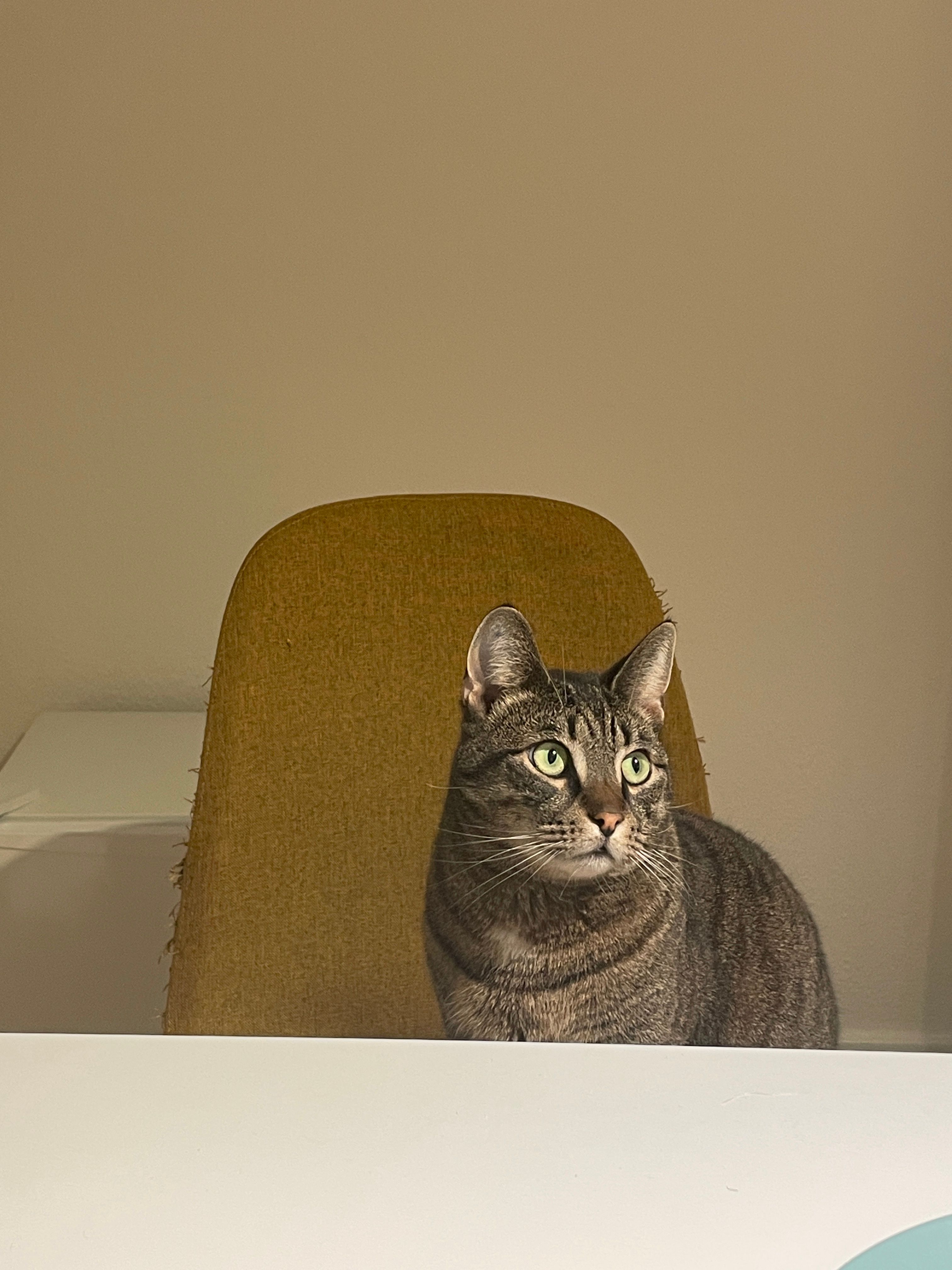 image-6