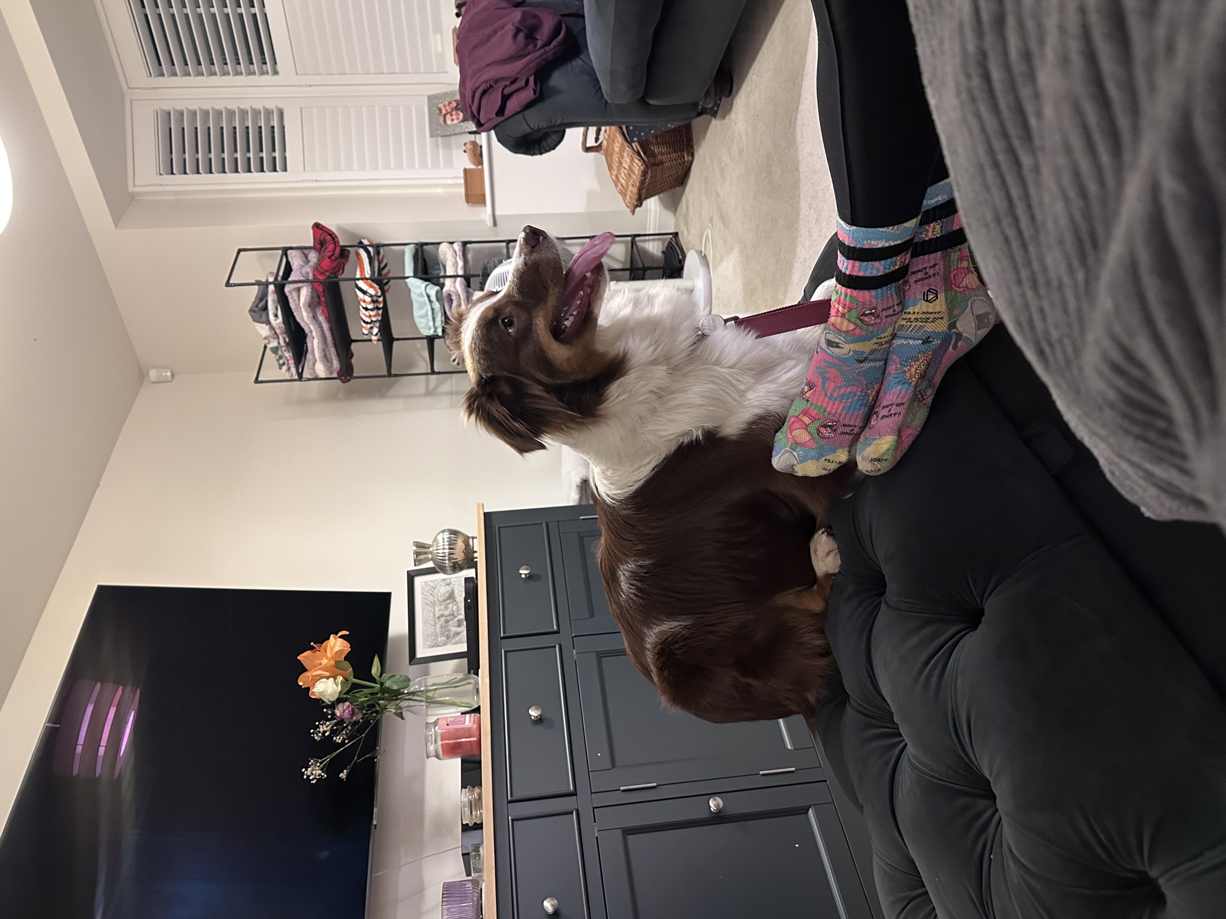 image-7