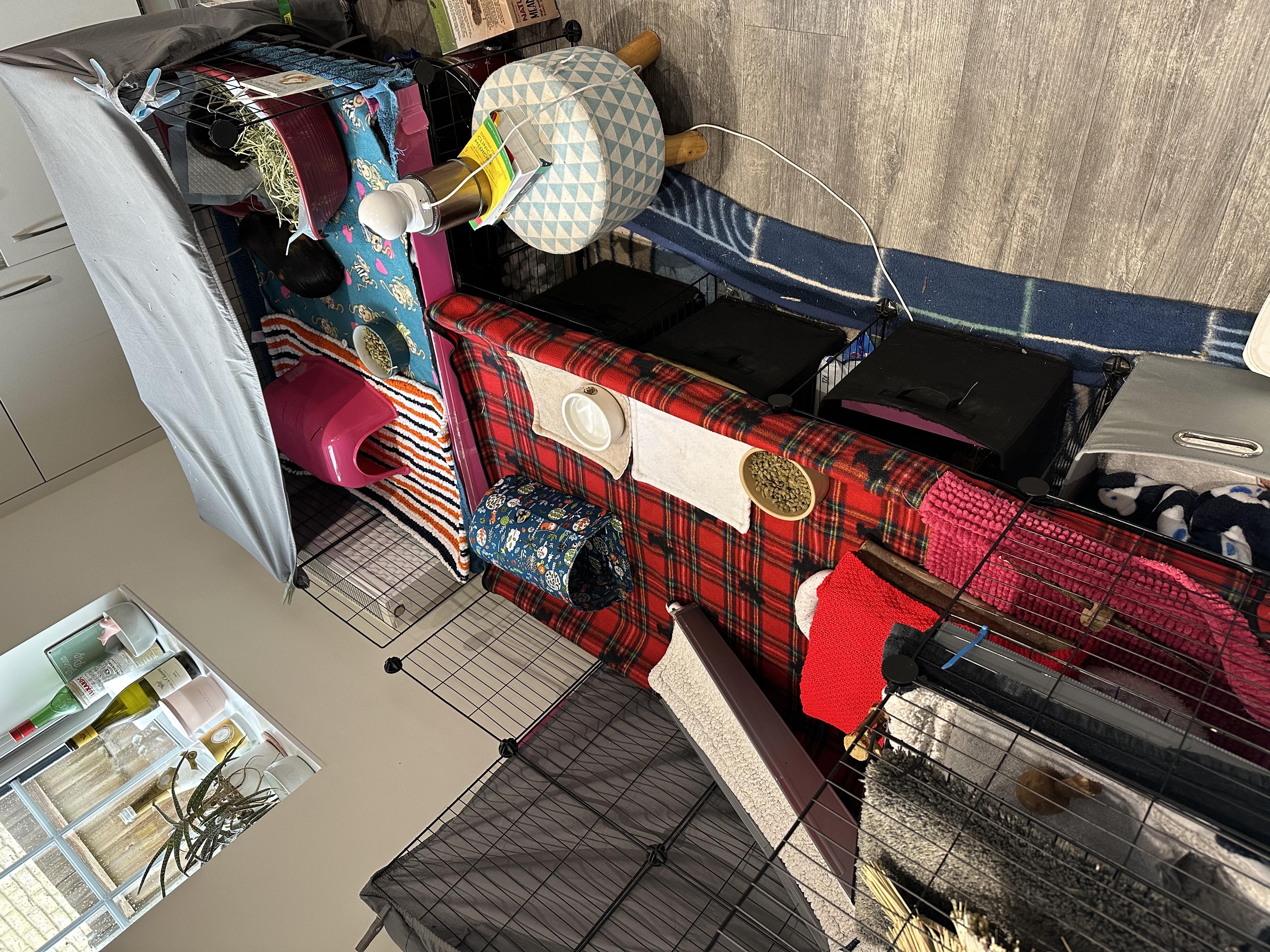 image-15