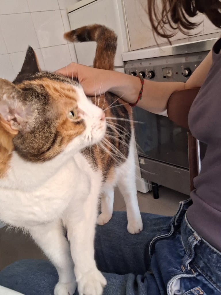 Milù