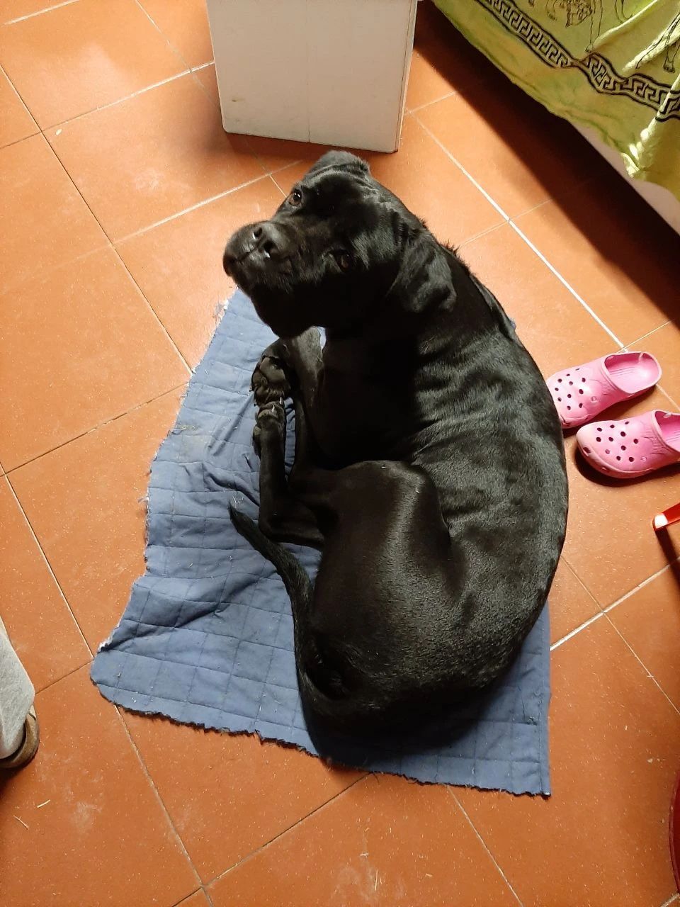 image-11