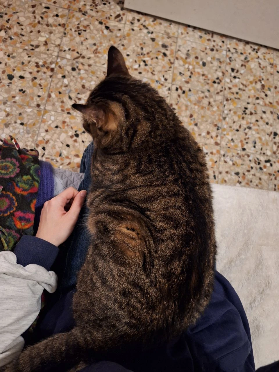 image-10