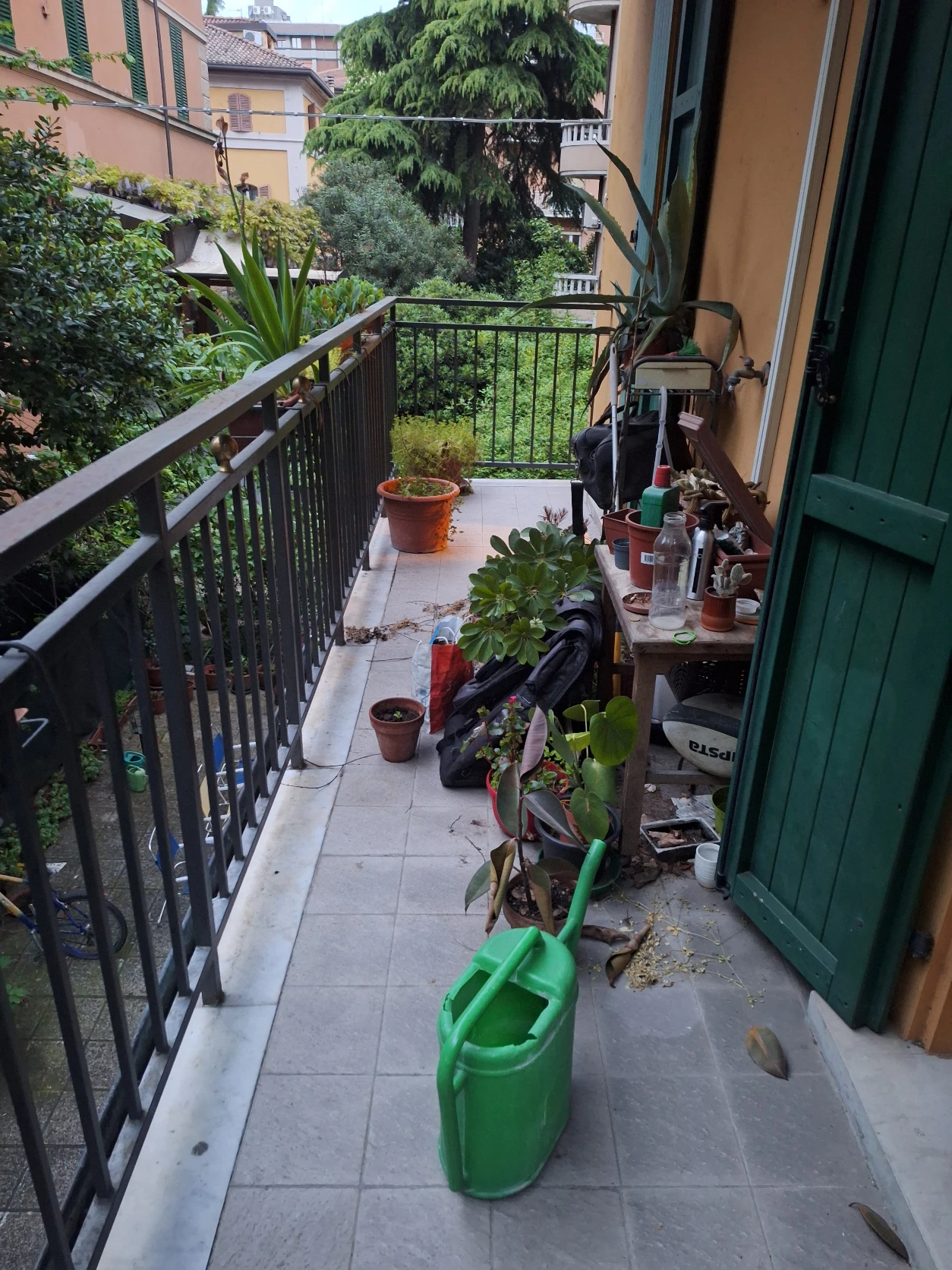 image-16