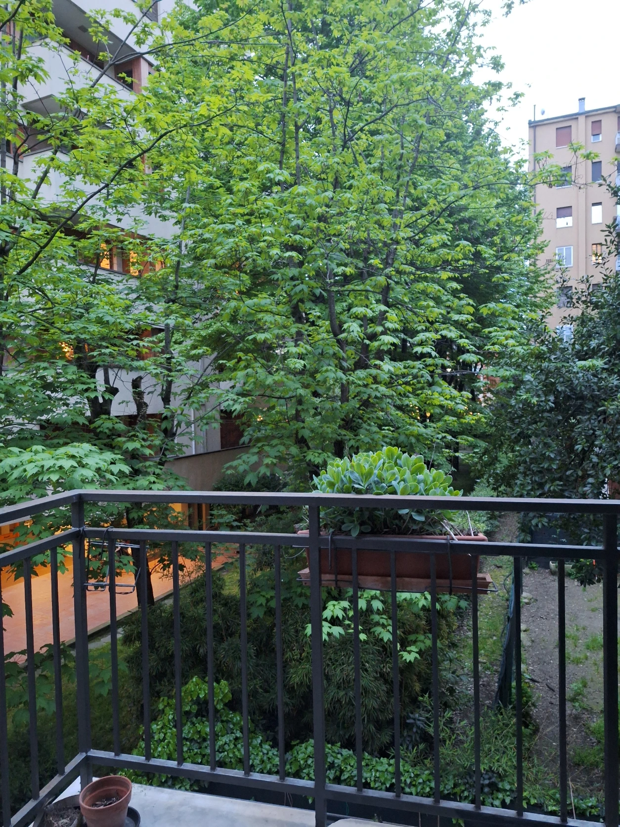 image-17