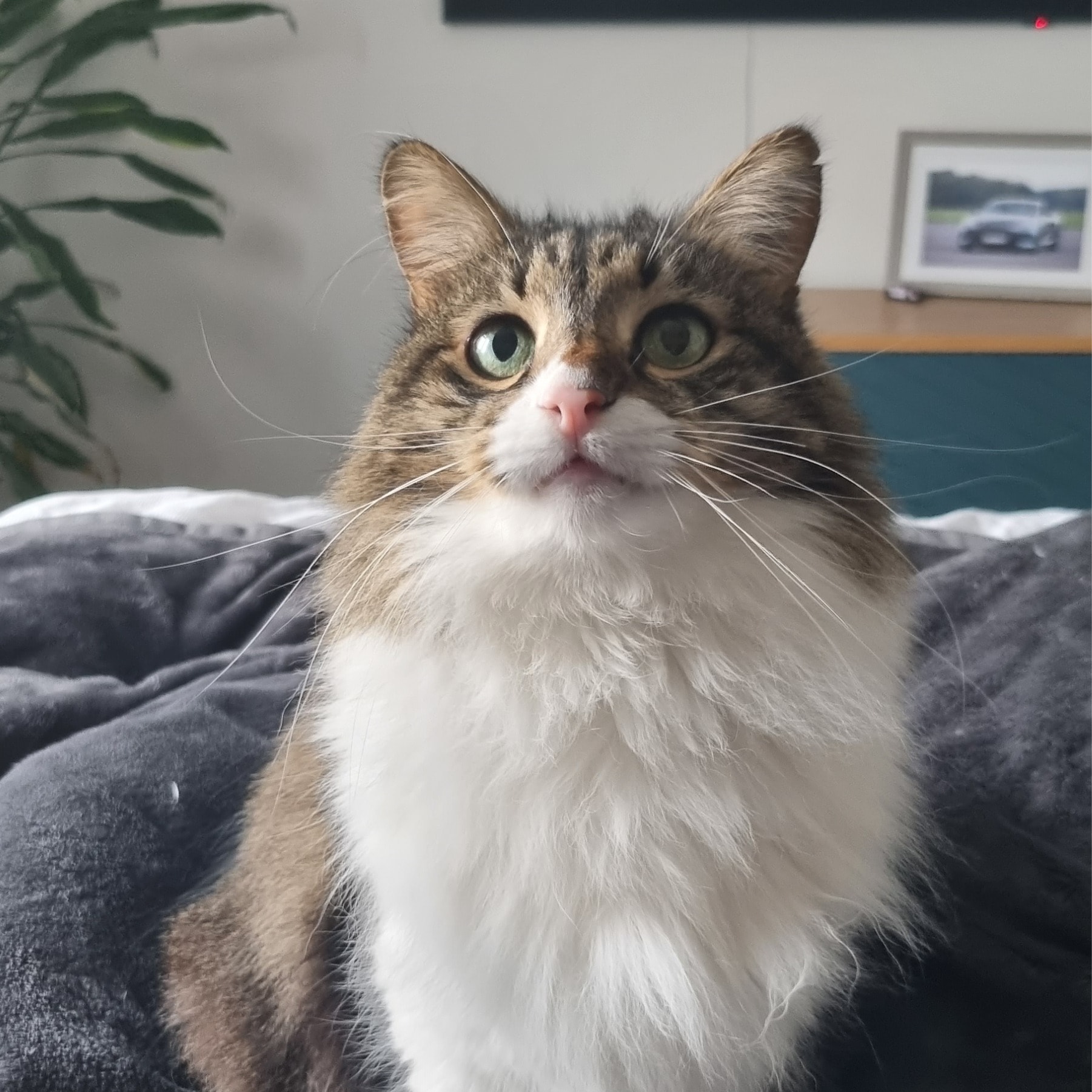 Richard Parker (Richie)