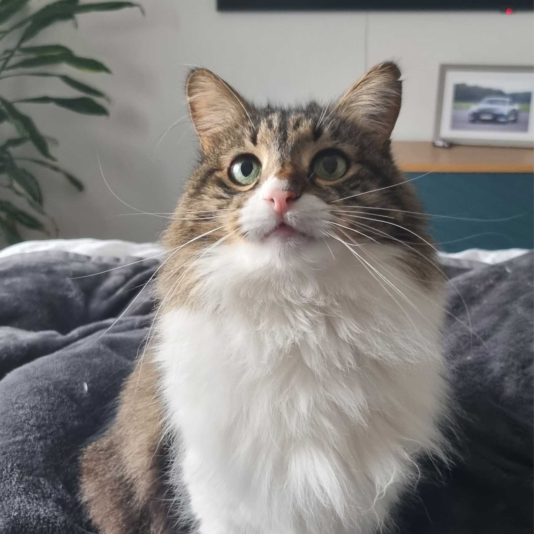 Richard Parker (Richie)