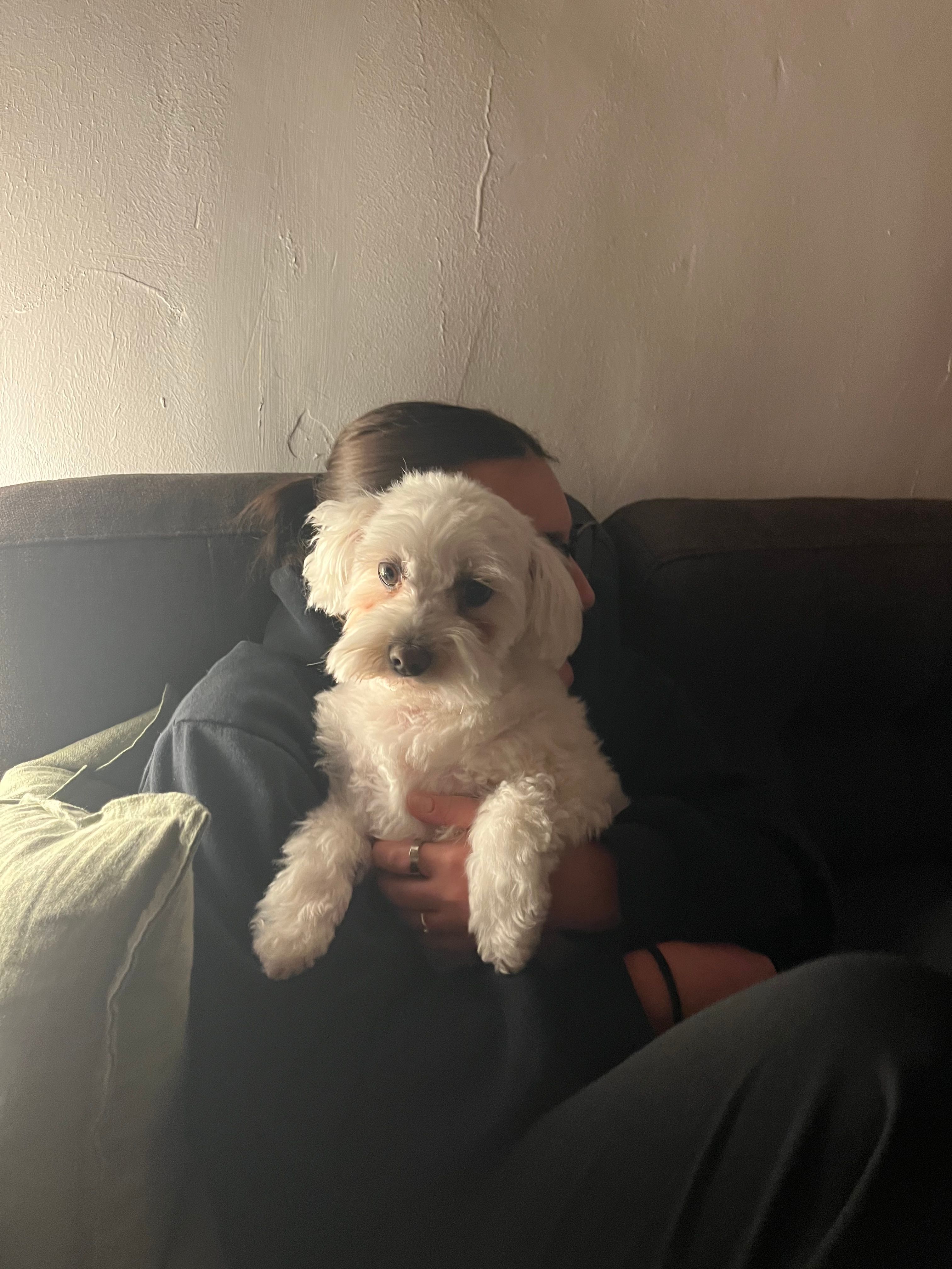 image-5