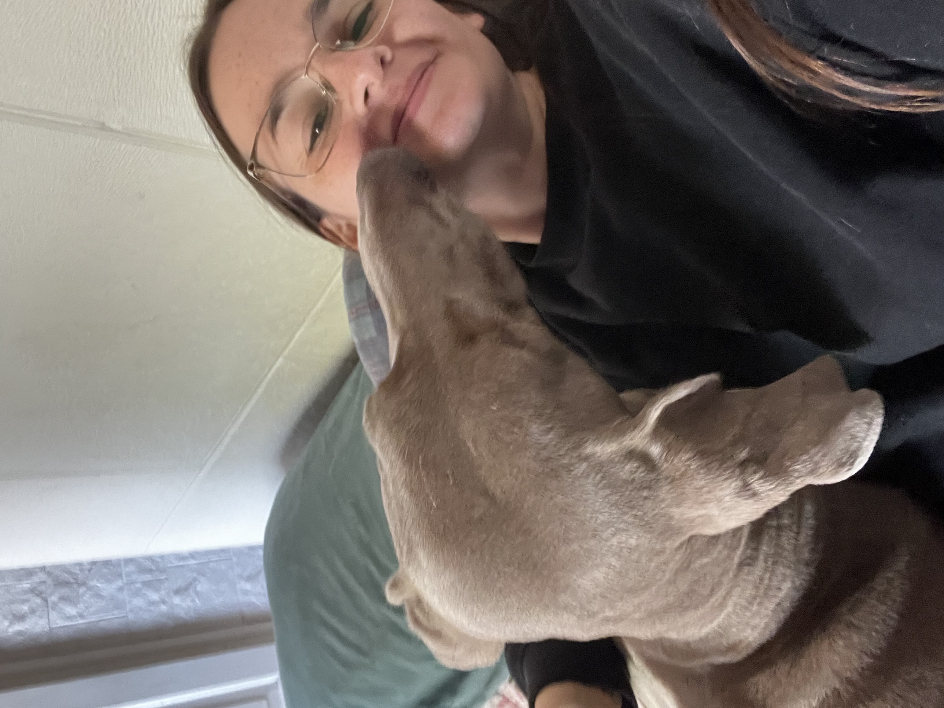 image-6