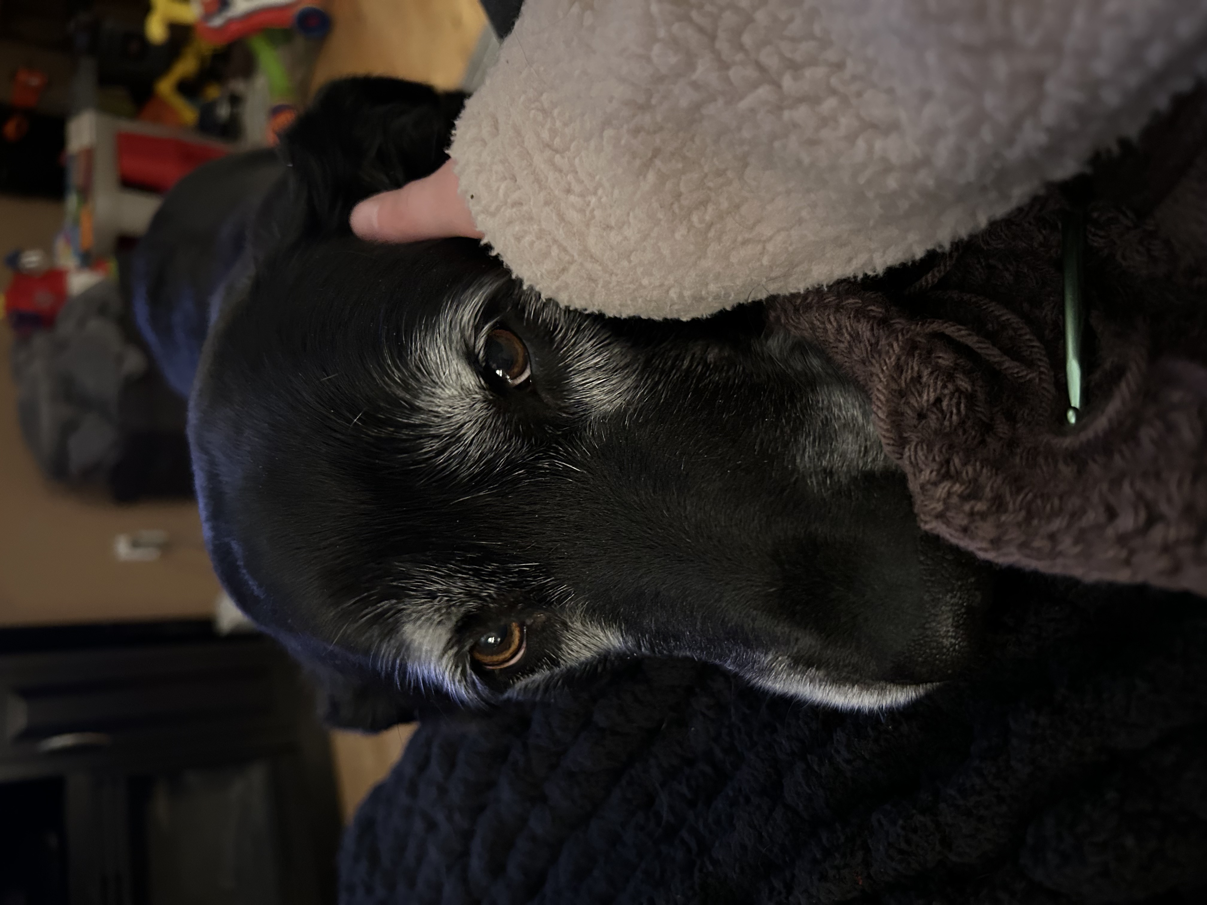 image-7